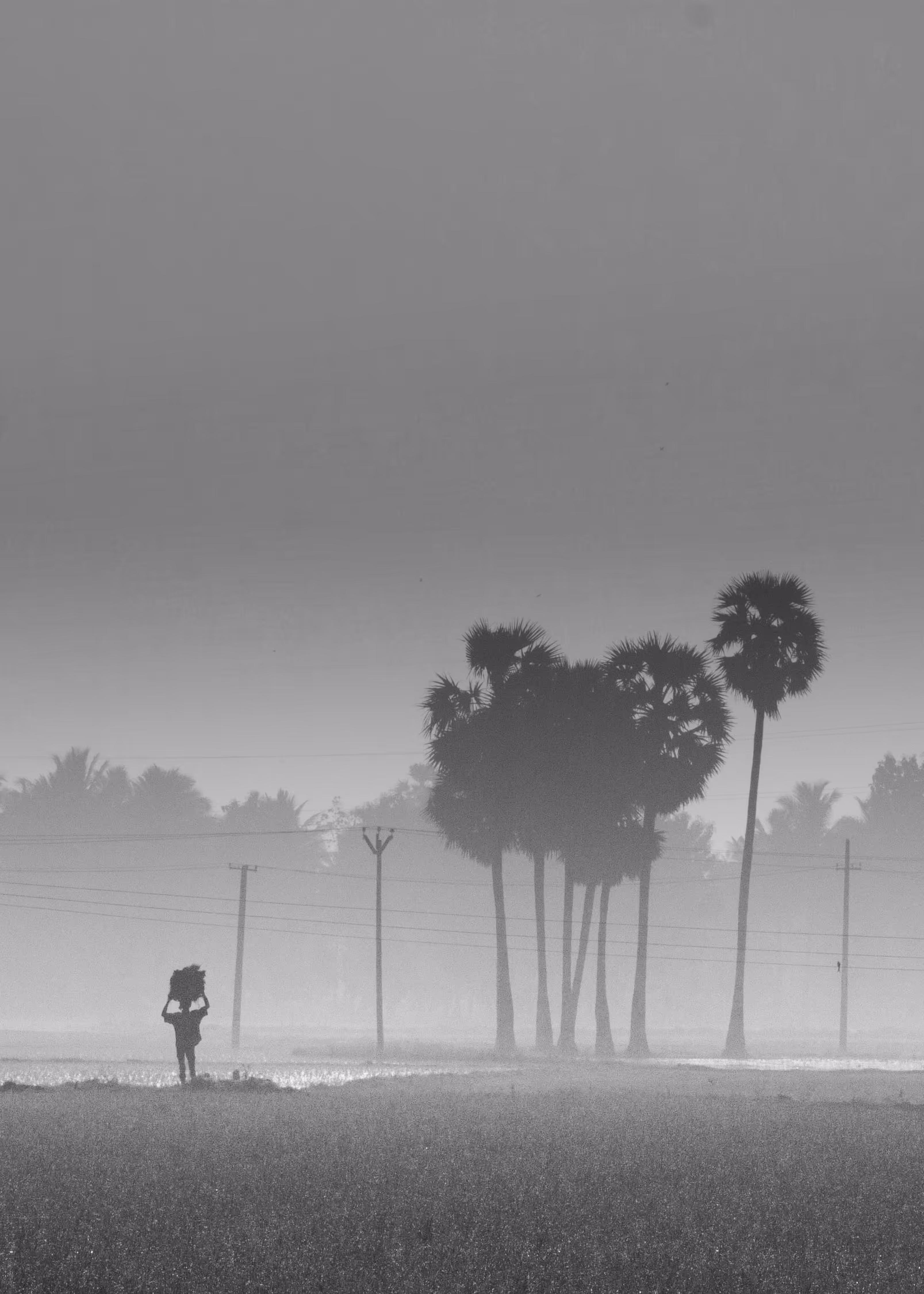 Unknown Perspective: My Story - The Life of Farmer