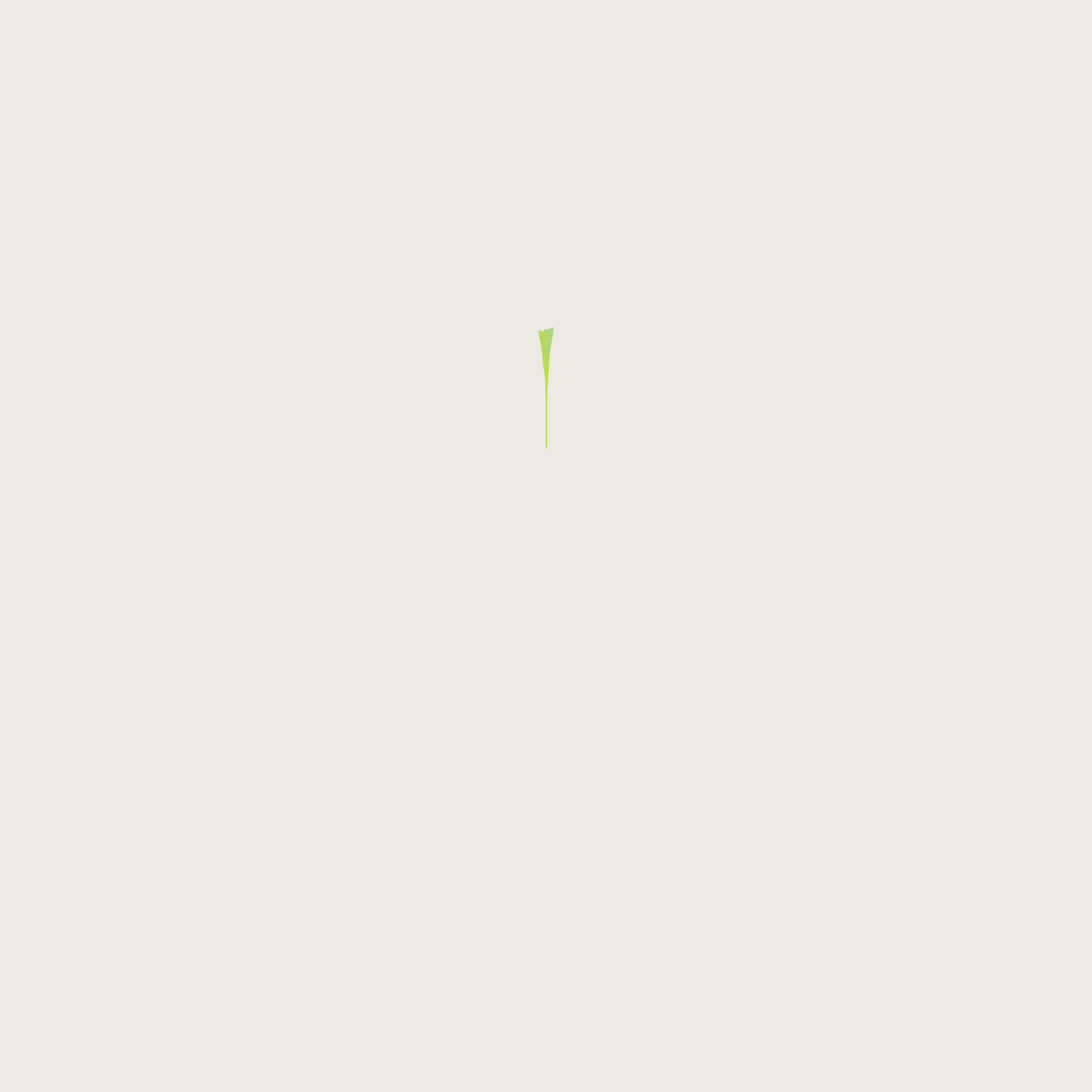The Nail 