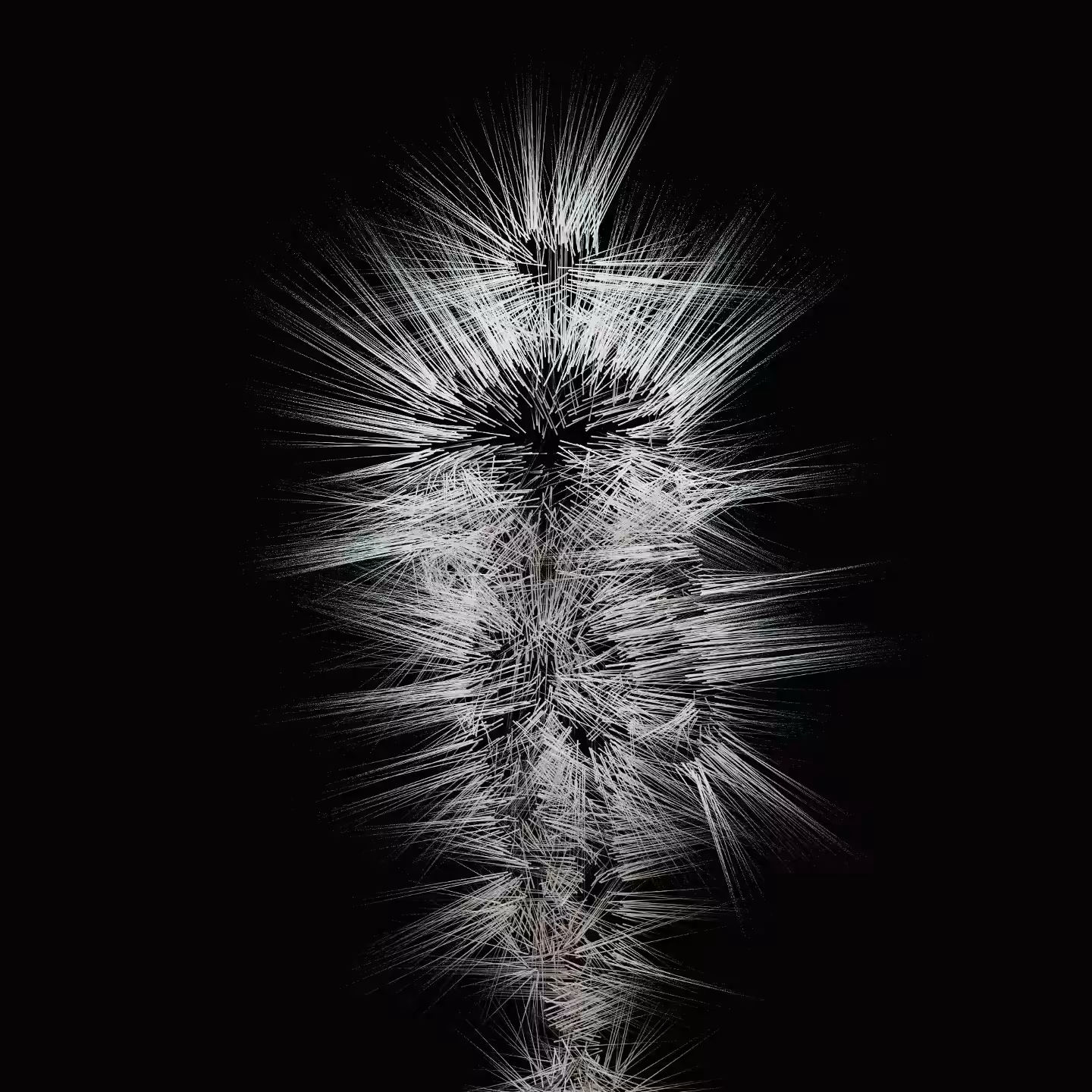 BRISTLE No. 1