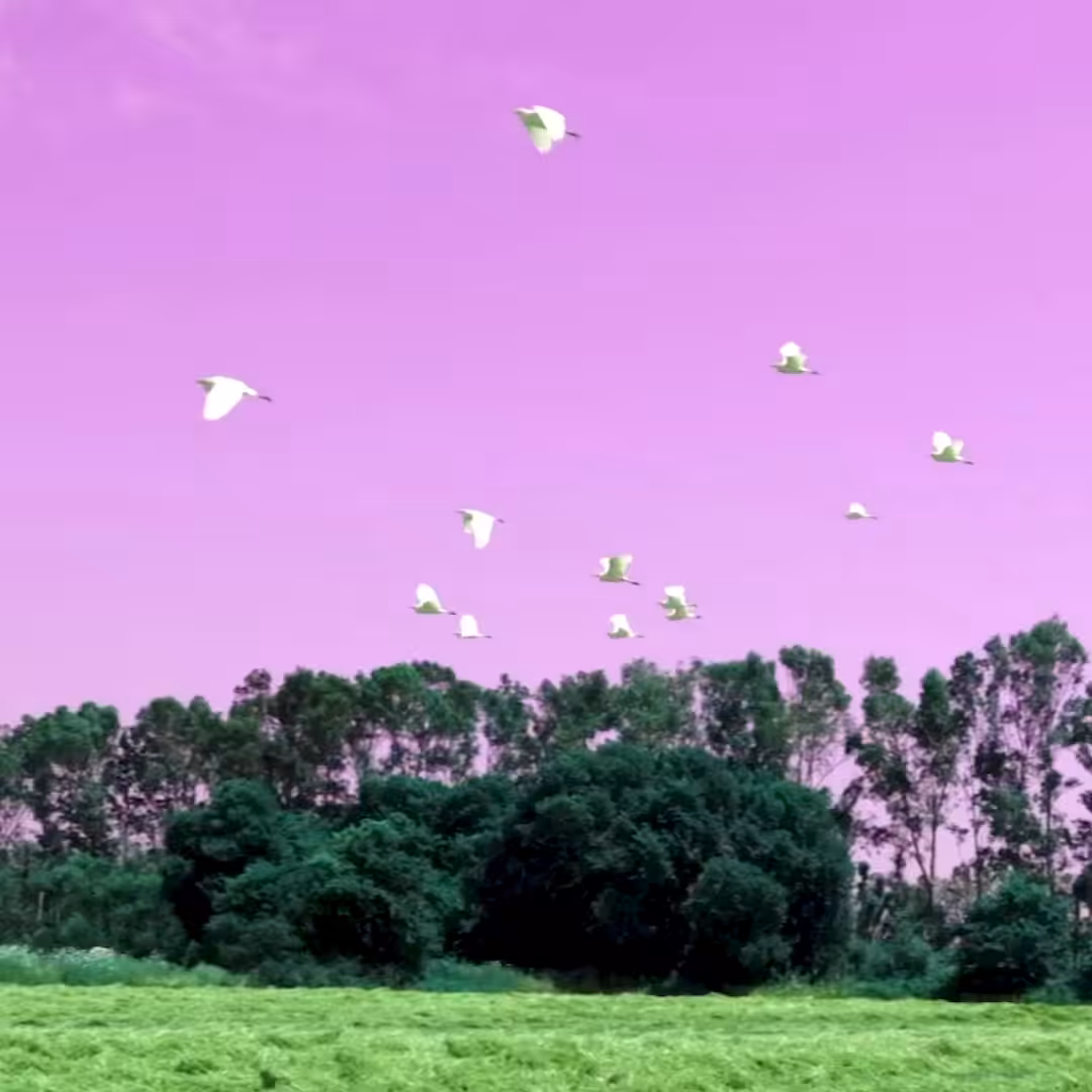 Utopia