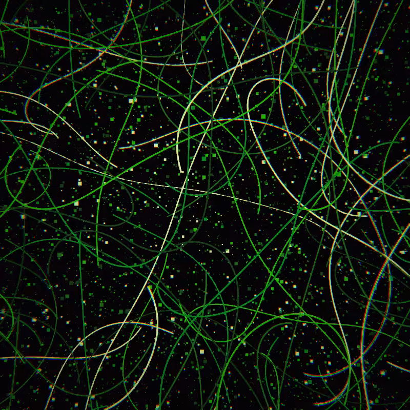 Neon Curves #54
