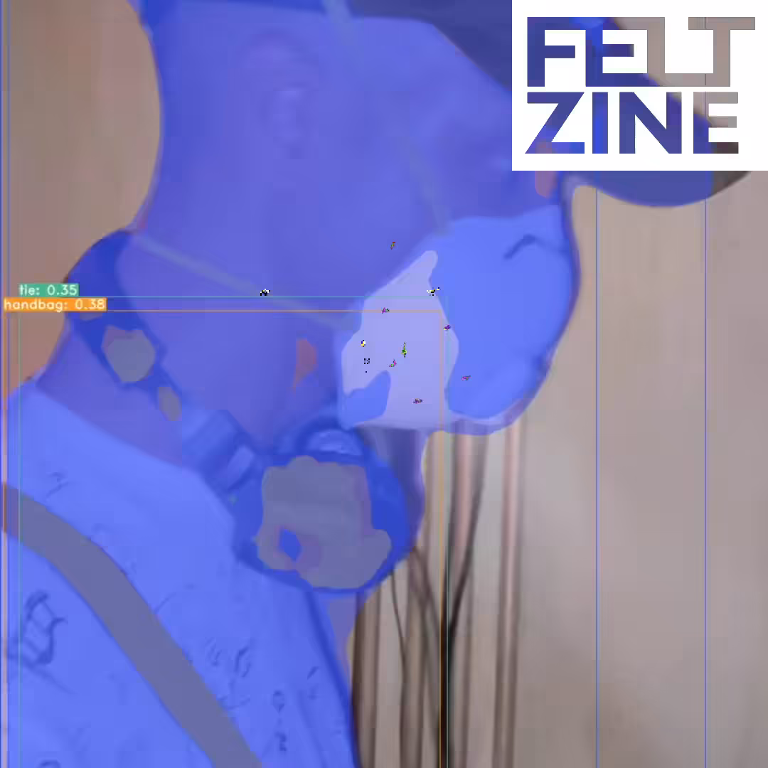 Canvas by Felt Zine: Canvas #183: motion tracker. — error. — virus. — white box logo. — dreamscape
