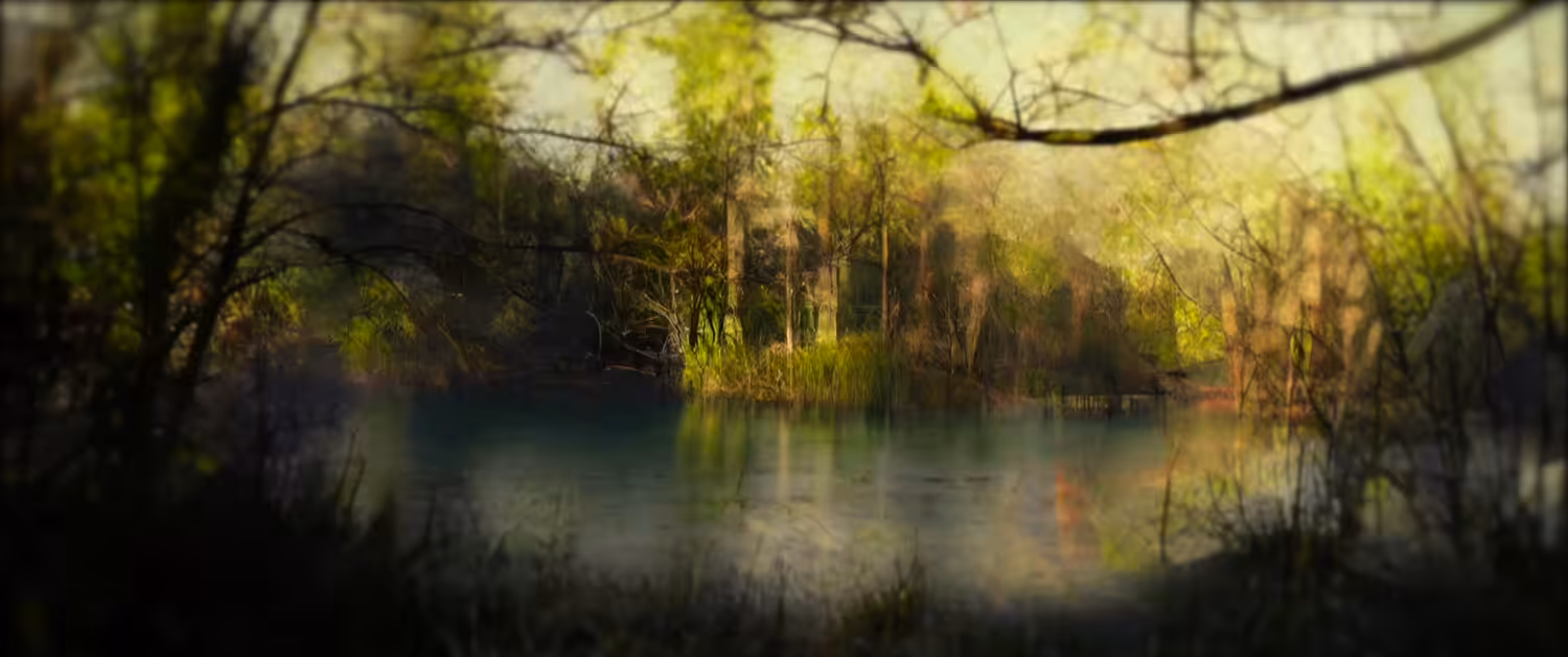 Lake Vision