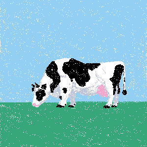 cows: cow #30