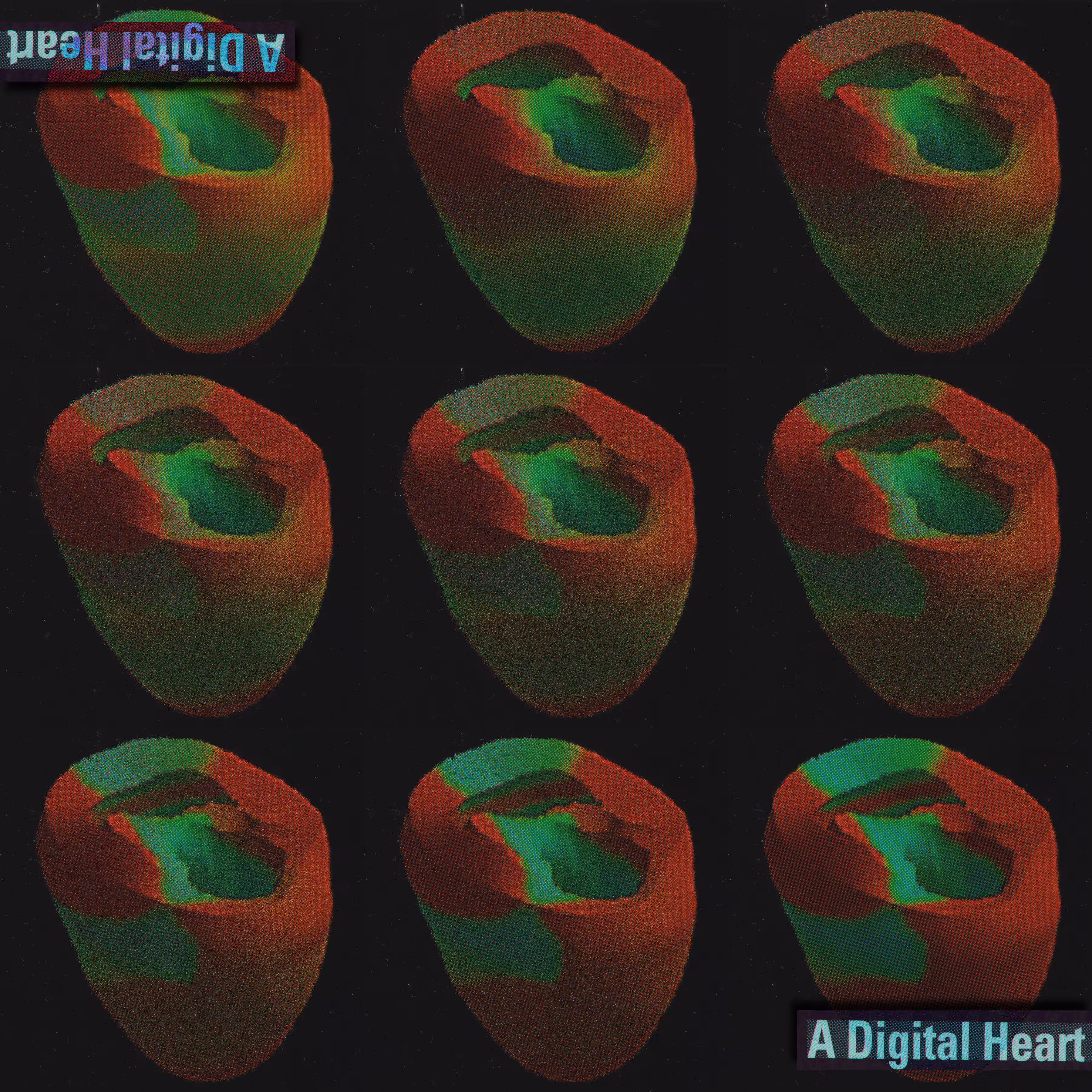 A Digital Heart