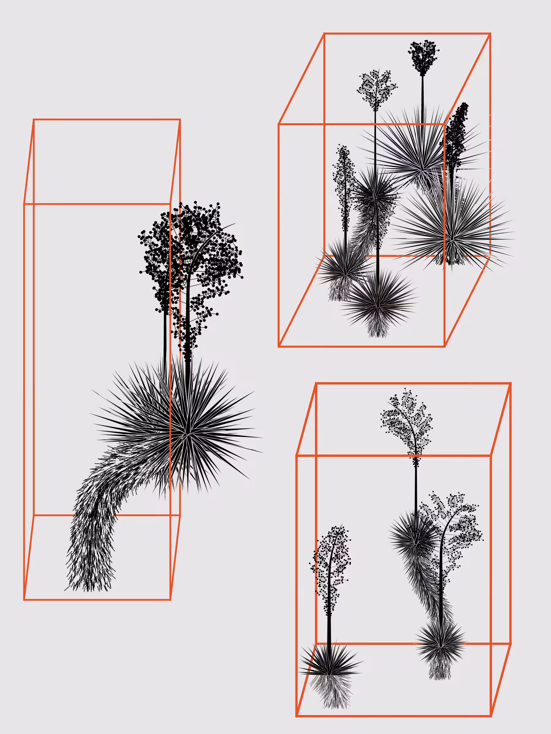 Marfa Yucca #134