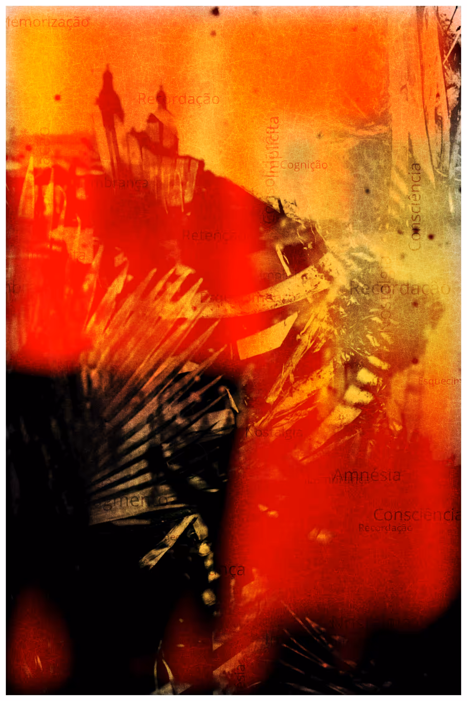 ANIMA #72