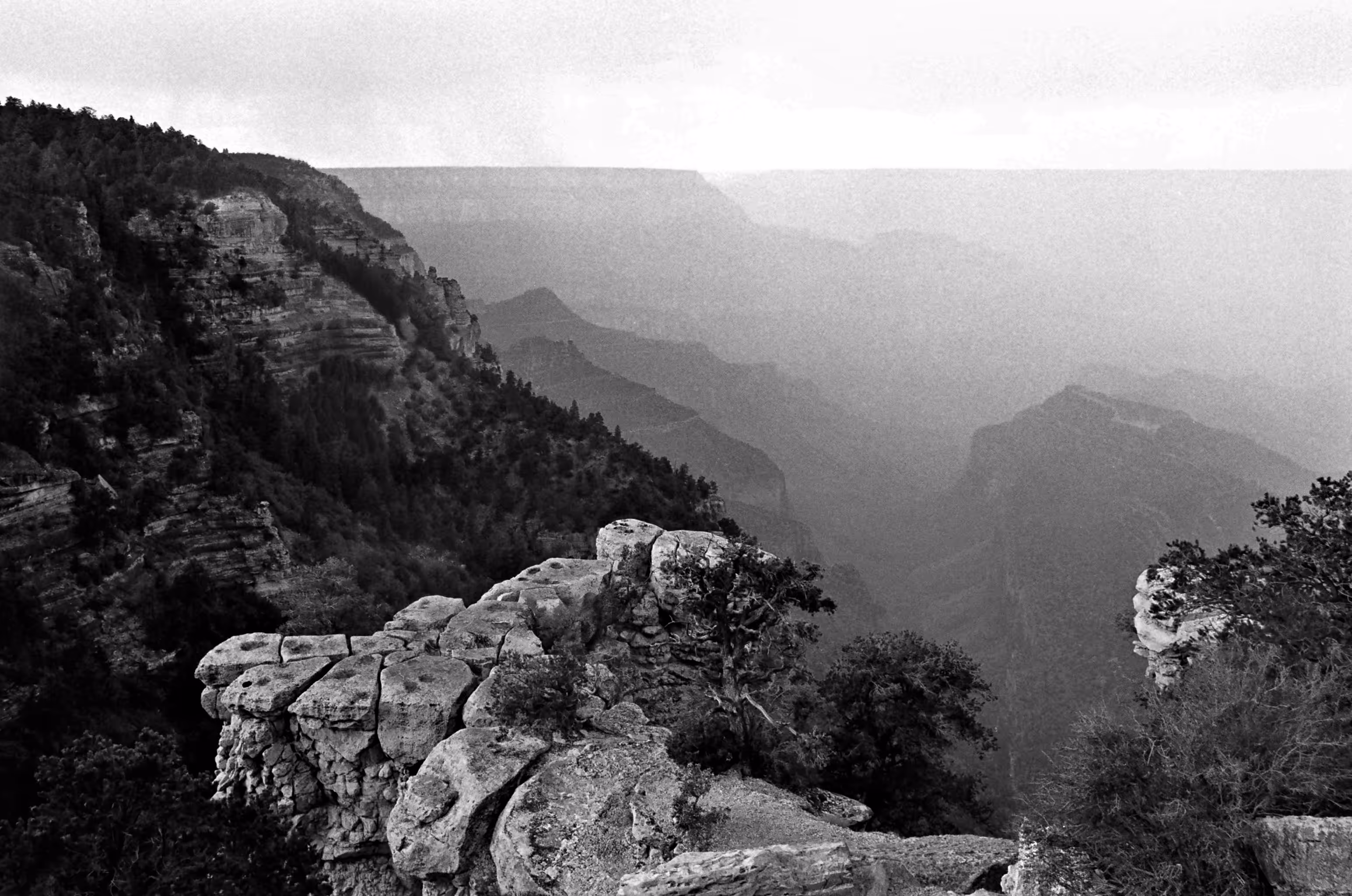 Overlooking the Canyon