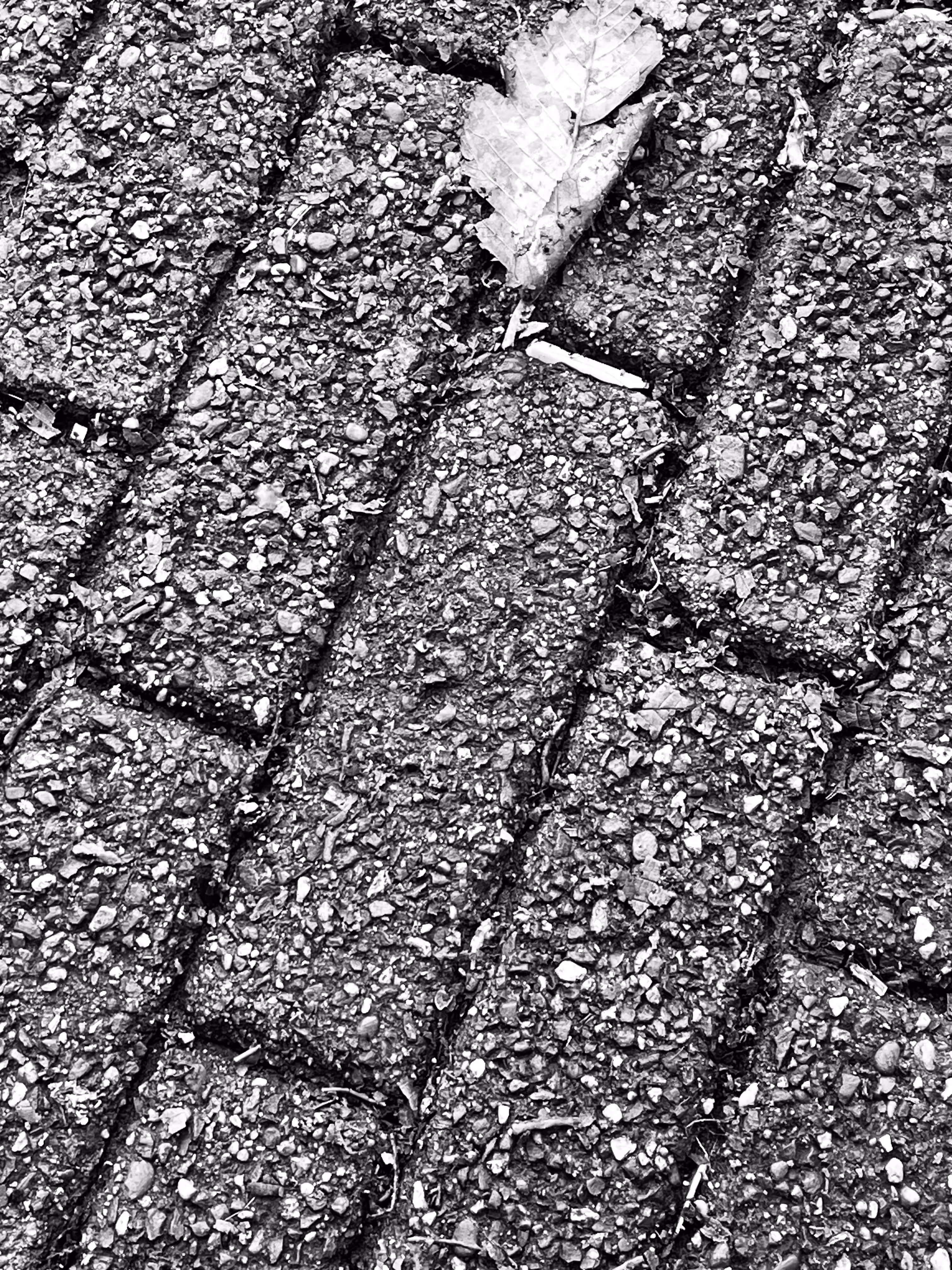 Solid Road XXXIII