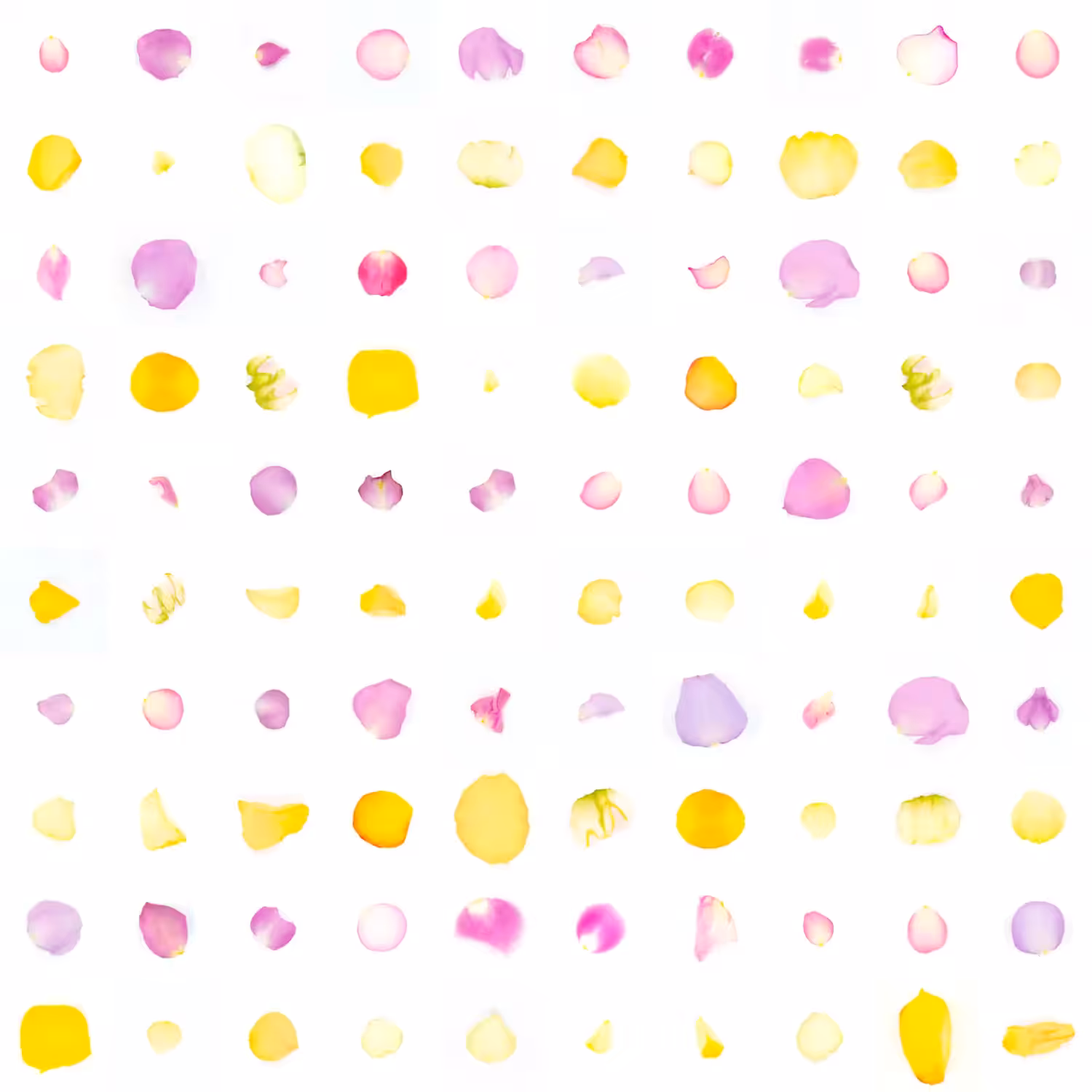 Infinite Petals 10x10#2444