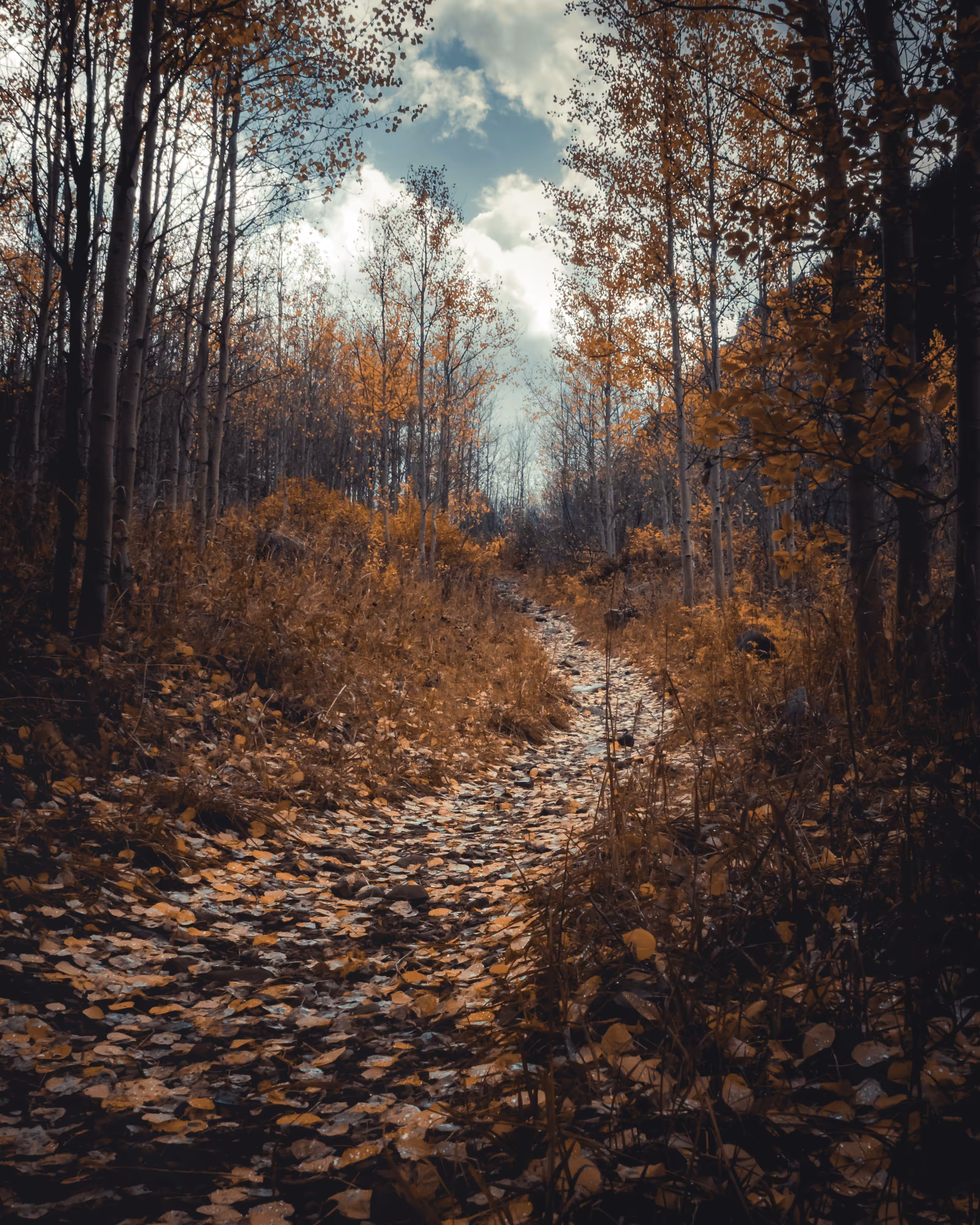 October Trail
