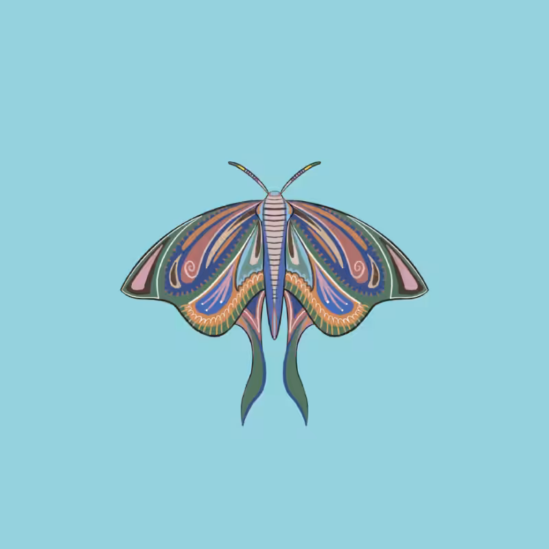 The Moth Experiment 2.0 P2 #23