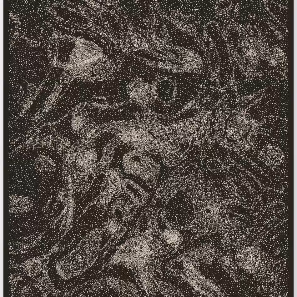 Caustics #226