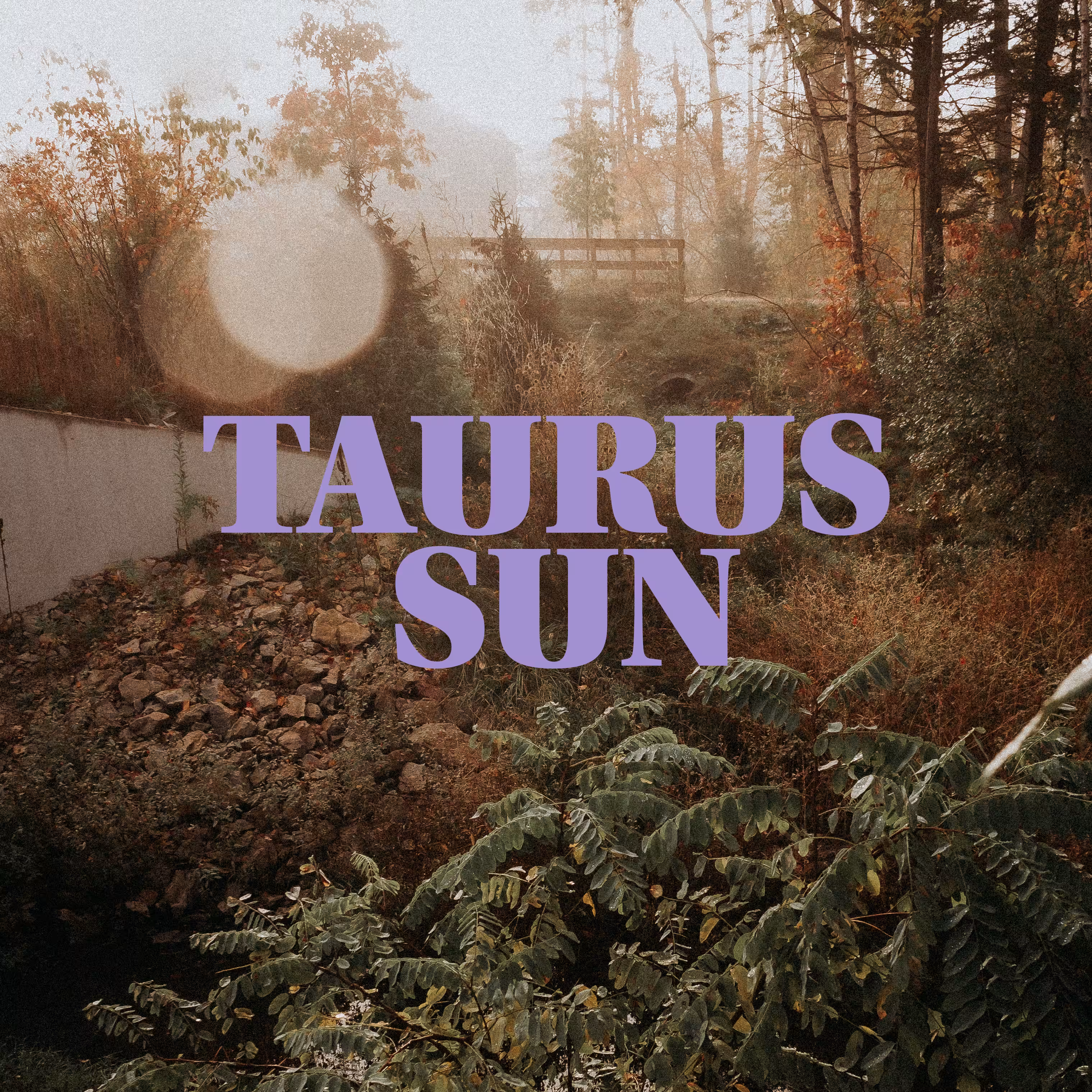 taurus sun 