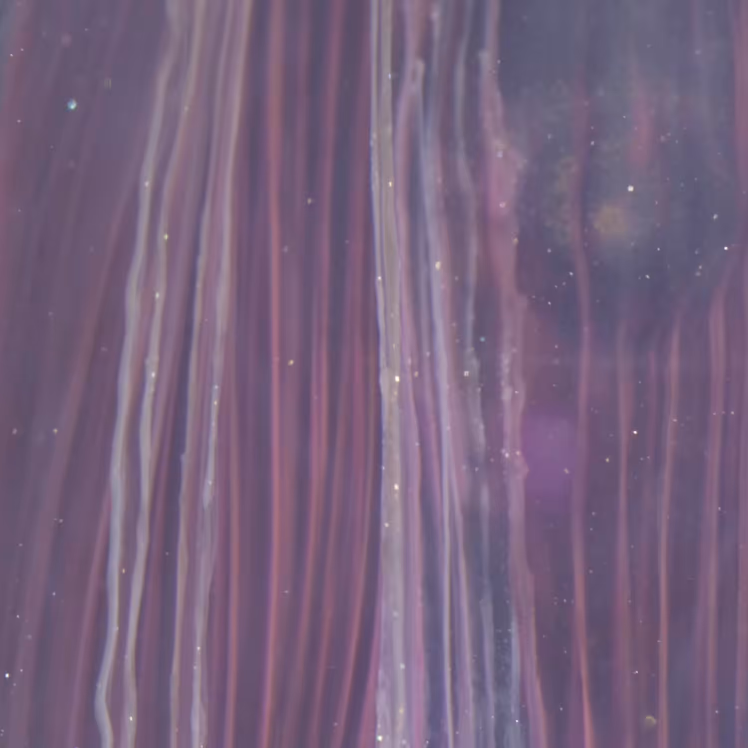 017