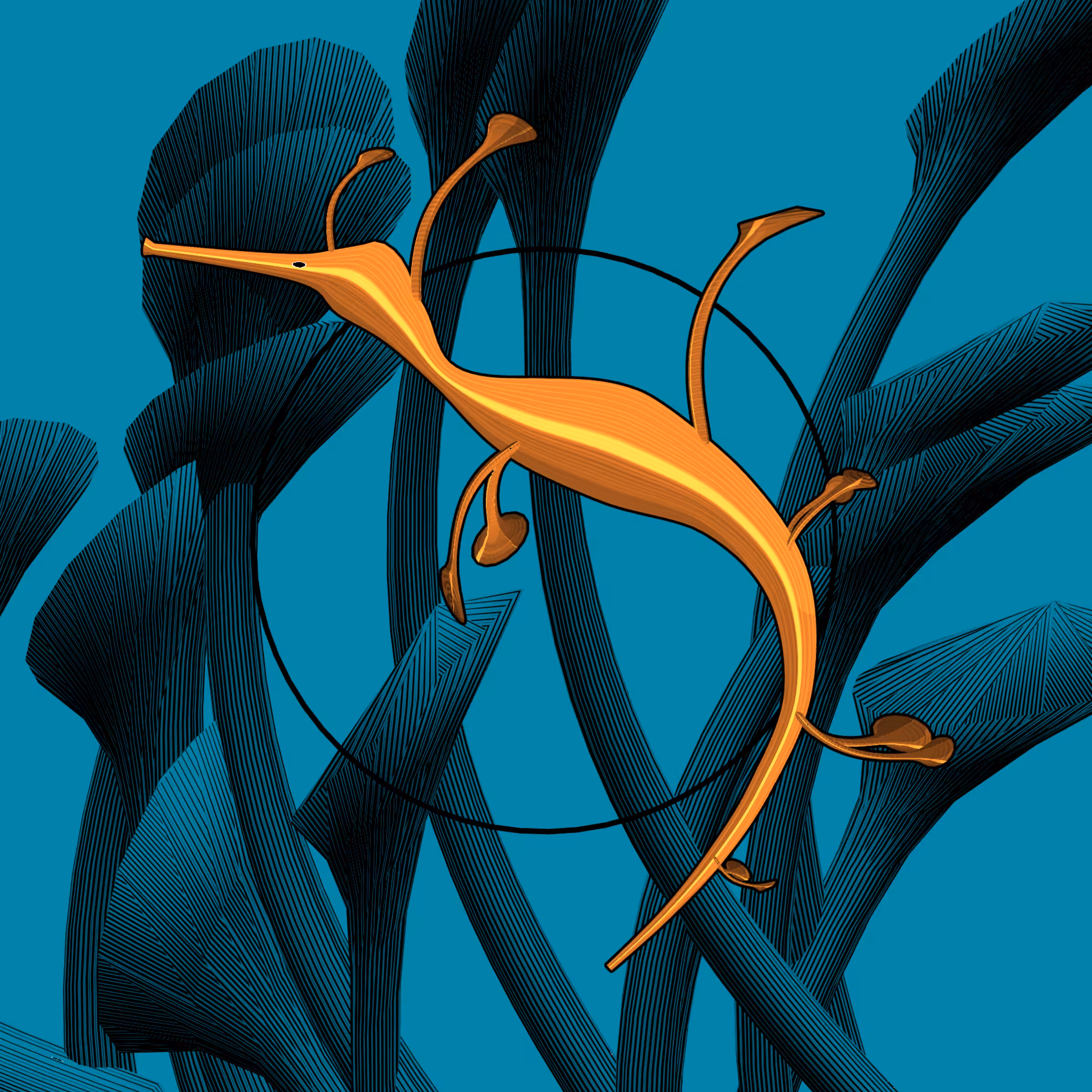 Seadragons #561