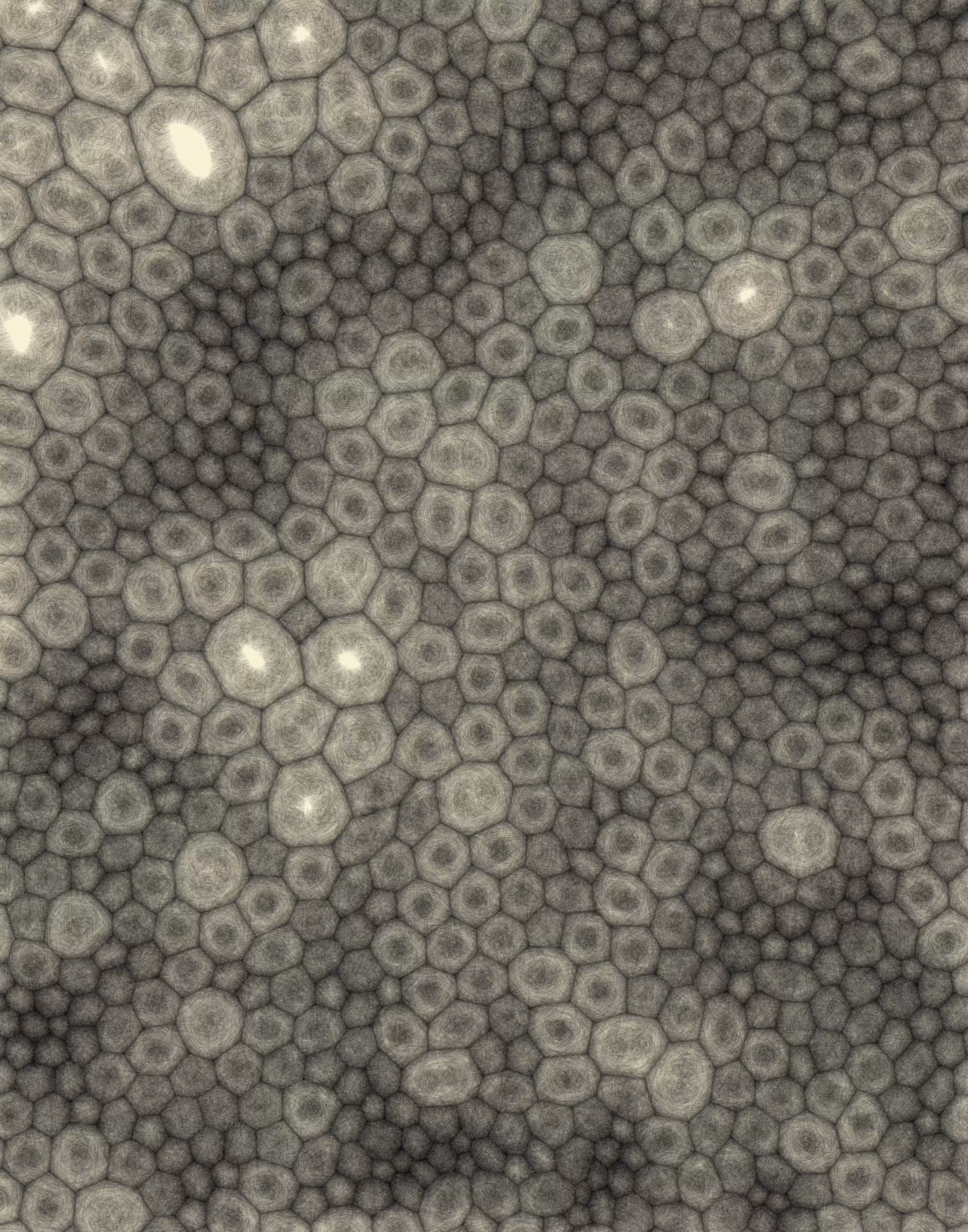 fuzzy grid 36
