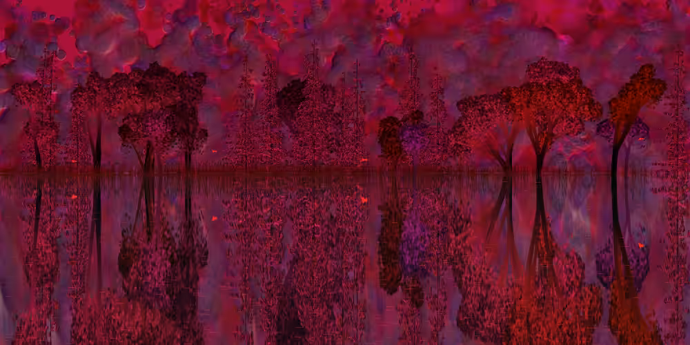 The Pond #12