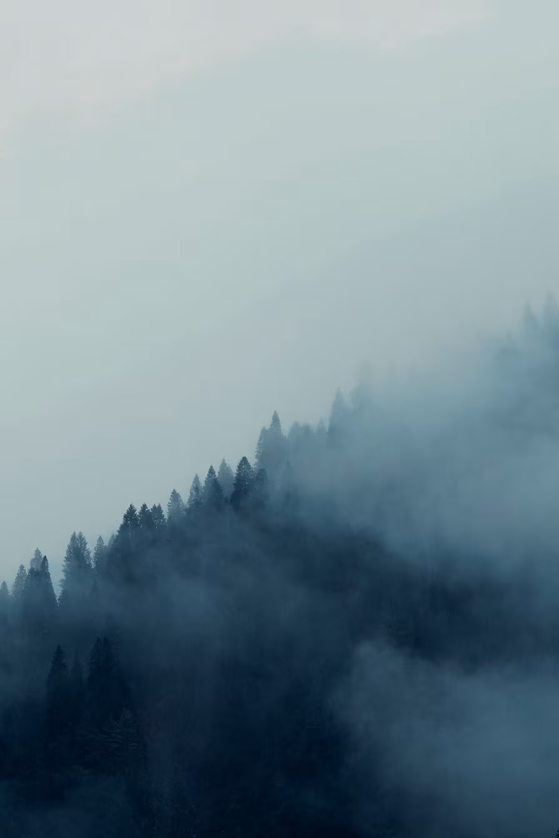 STILLNESS.