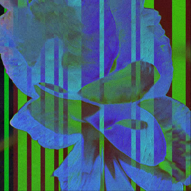 CLDCSMC #18