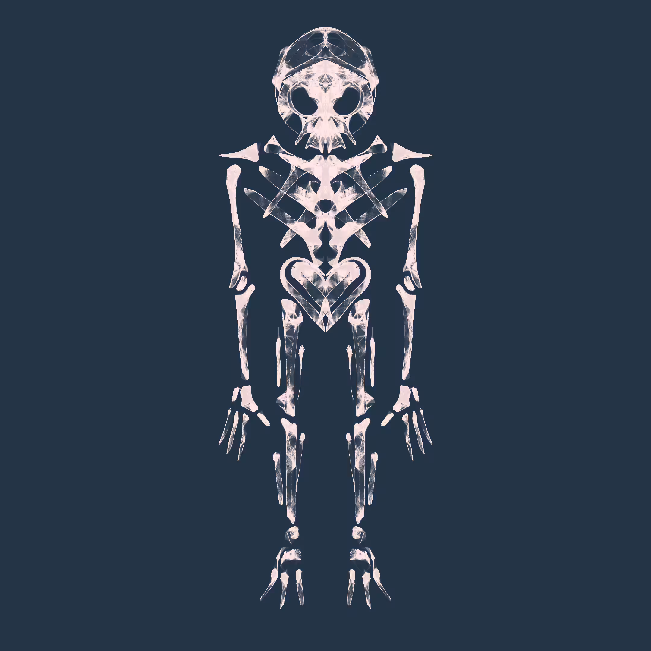 X ray Box: x 008