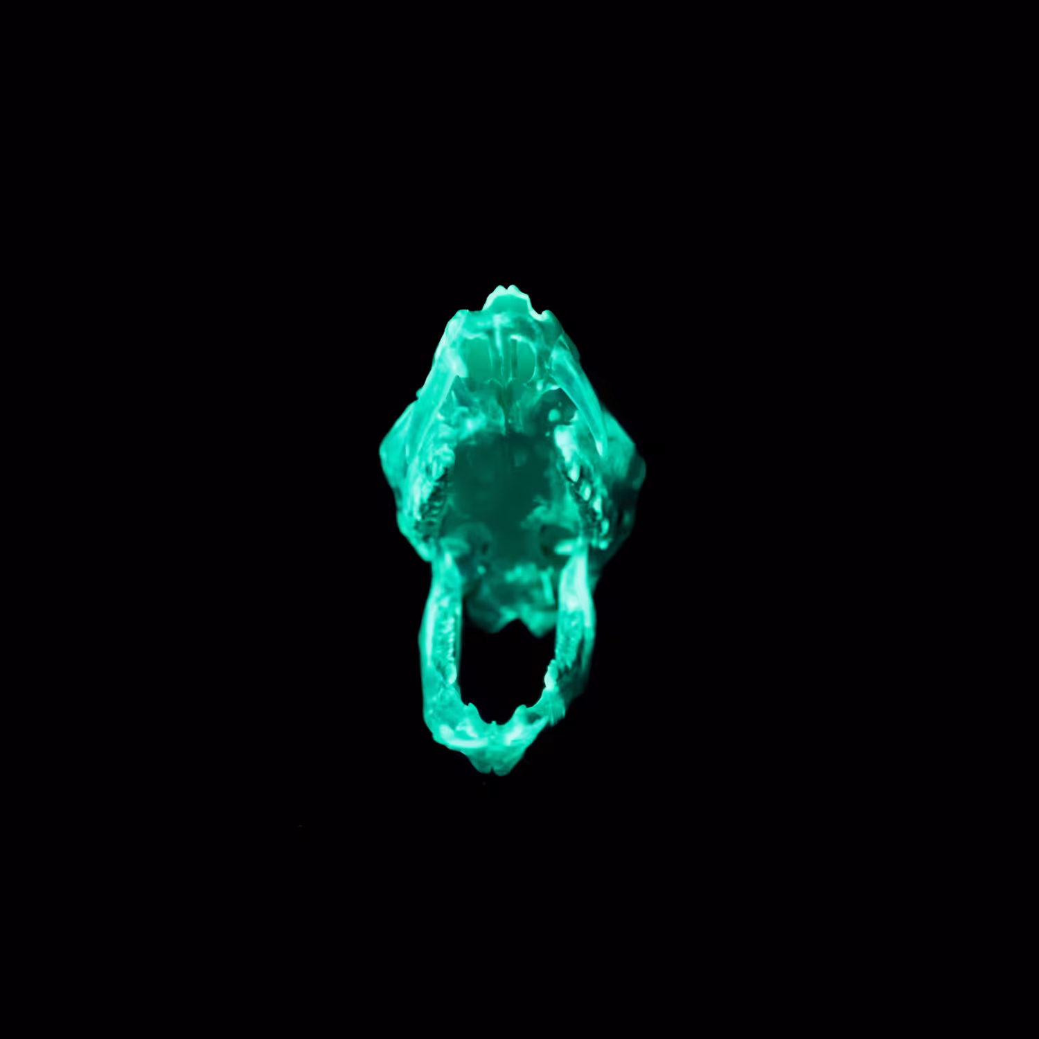 Radioactive Roadkill Teal Gamma (Muntjac)