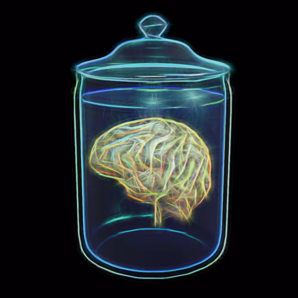 Highlight Brain
