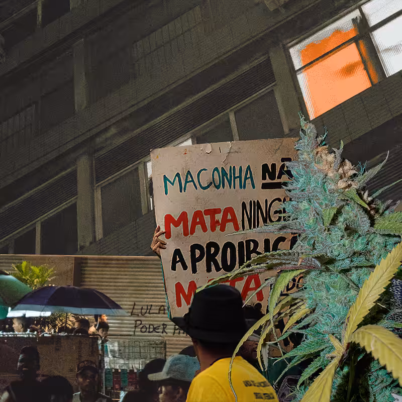 marijuana march #28