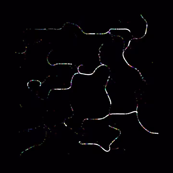 DoodleDeProgramming_20231001