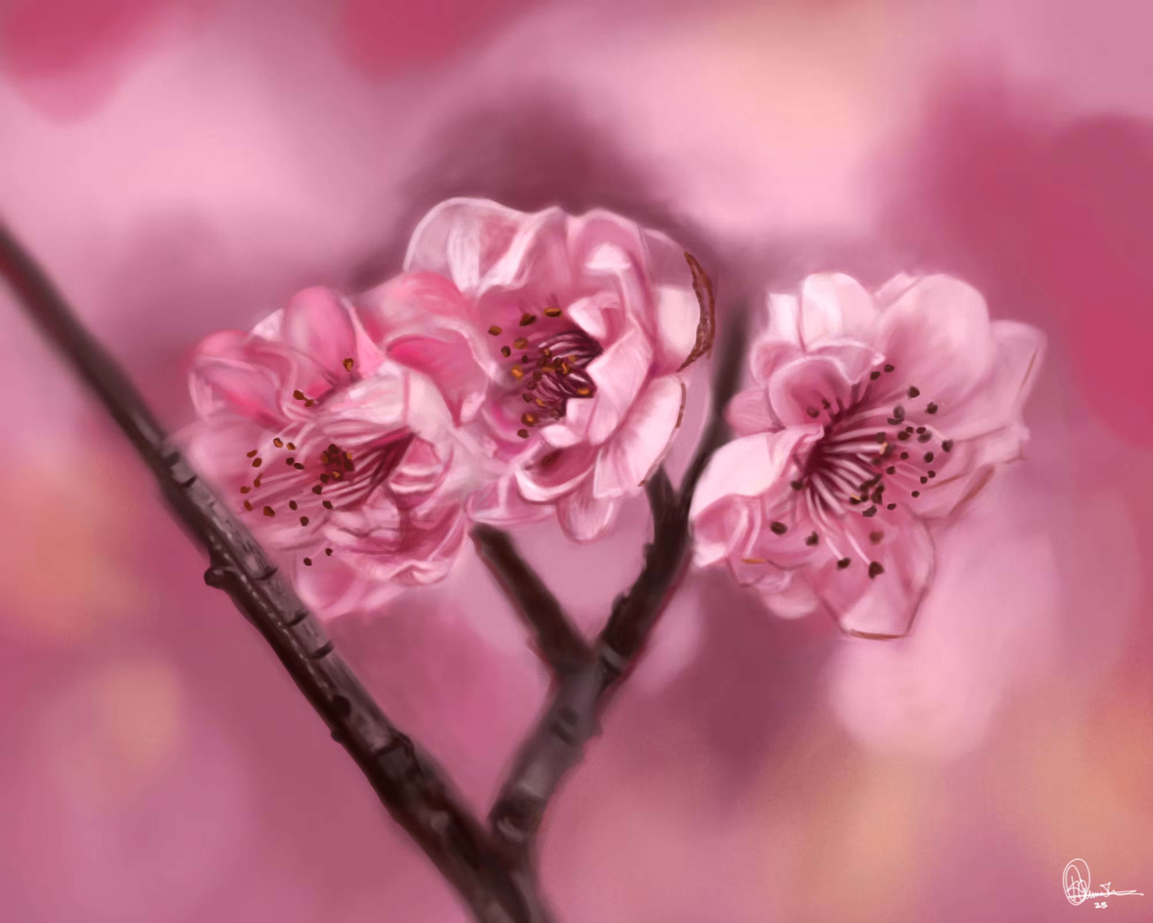 SAKURA BLOSSOMS