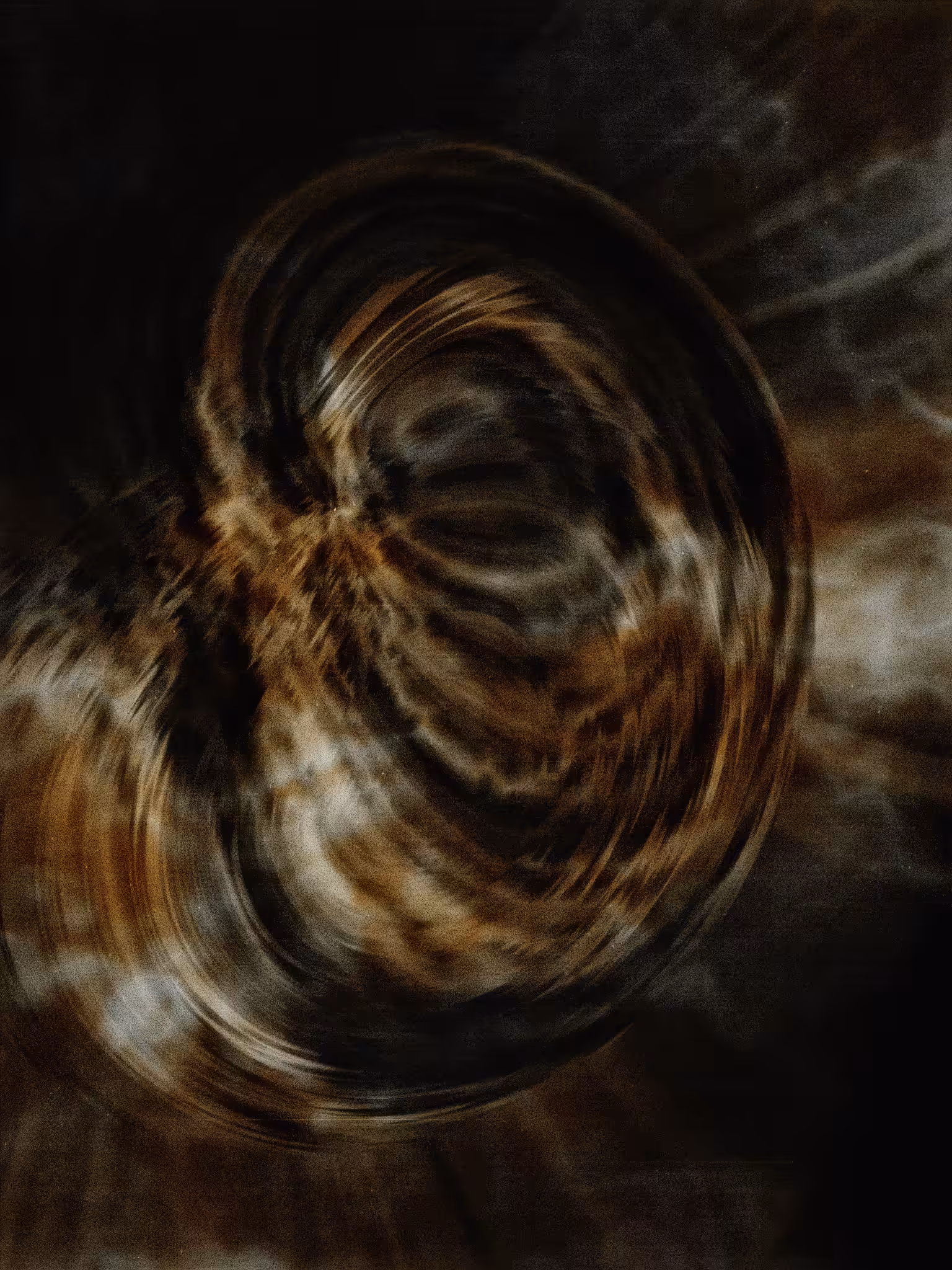 #313