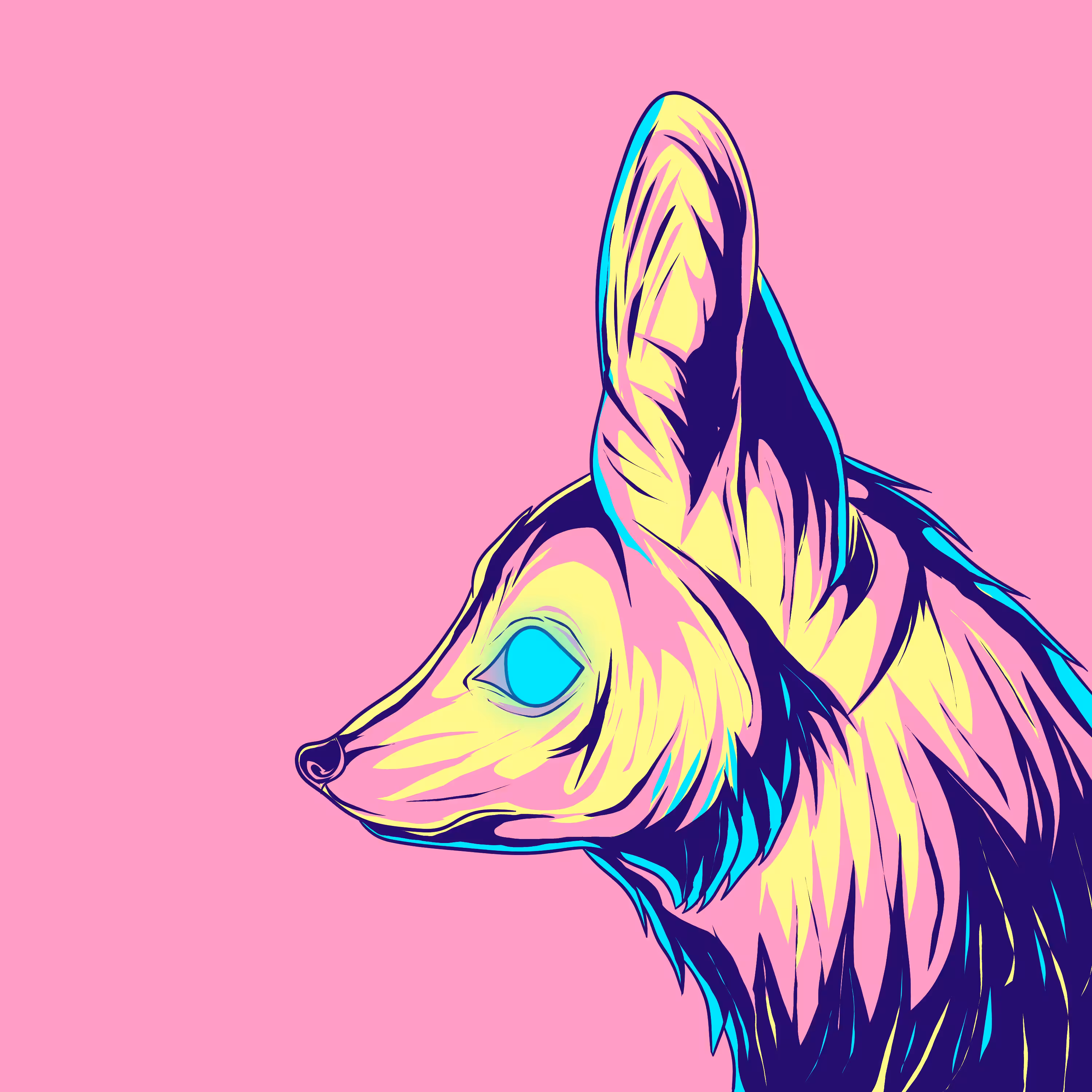#17 Funky Fox