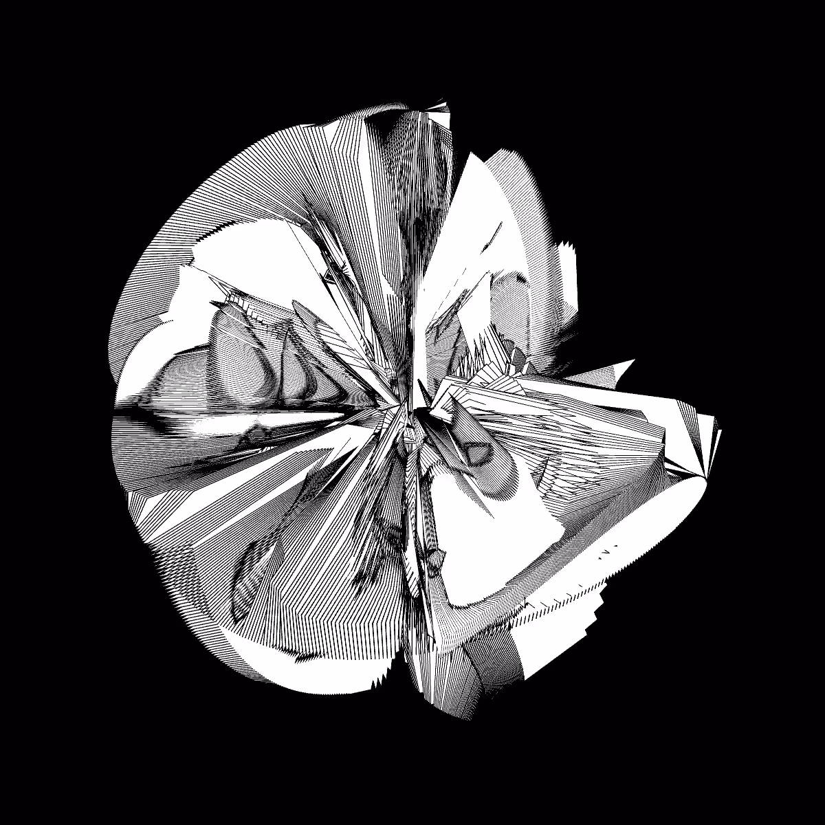 twisted petals