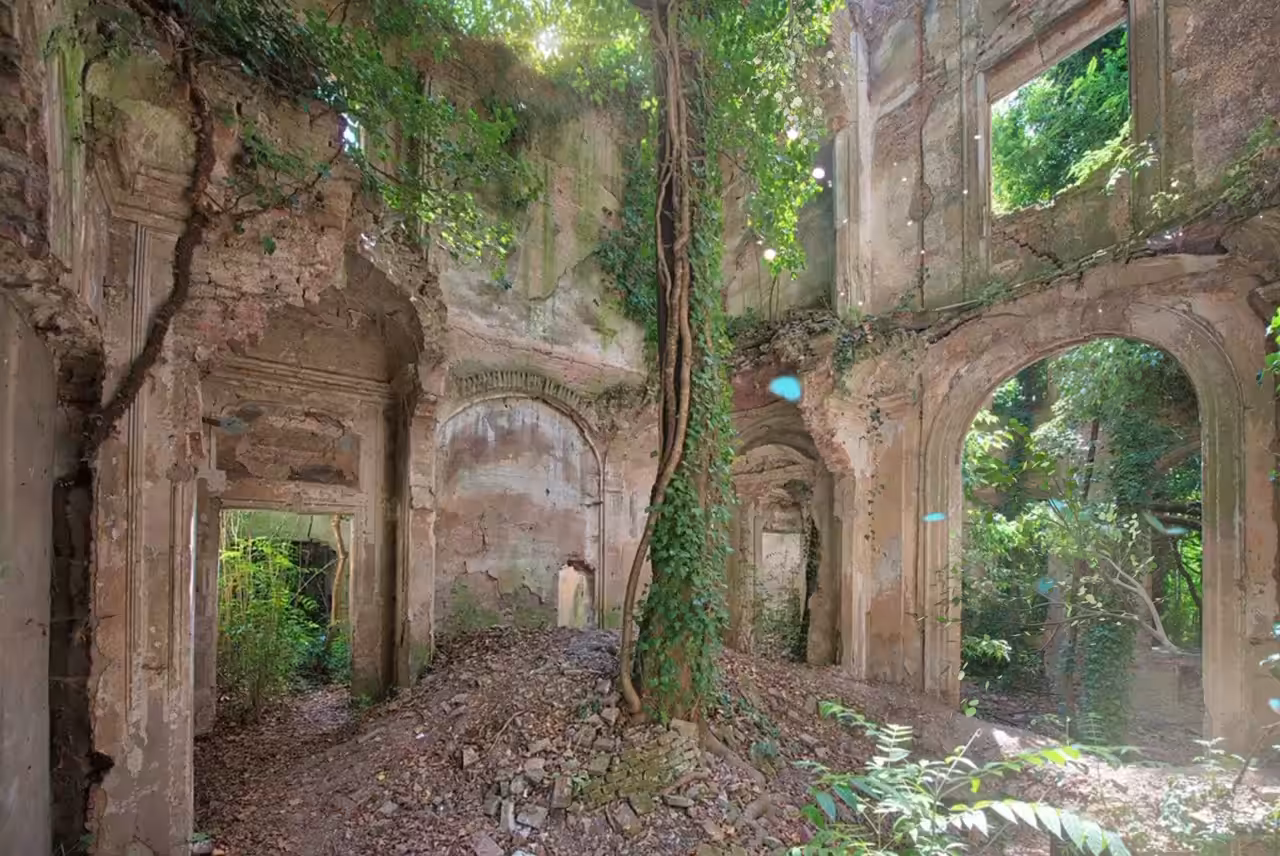 Jungle Villa part I