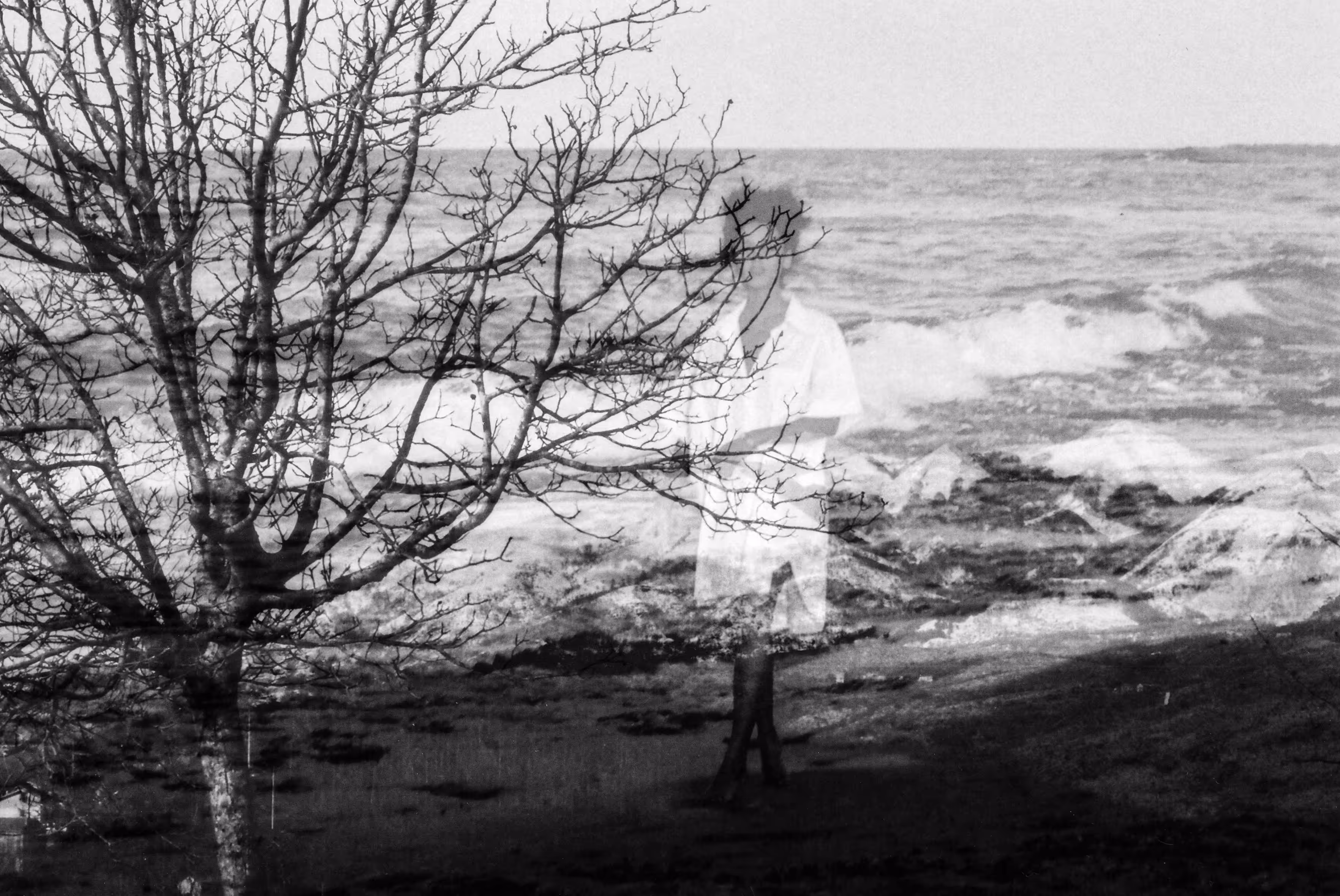 Vanishing Point