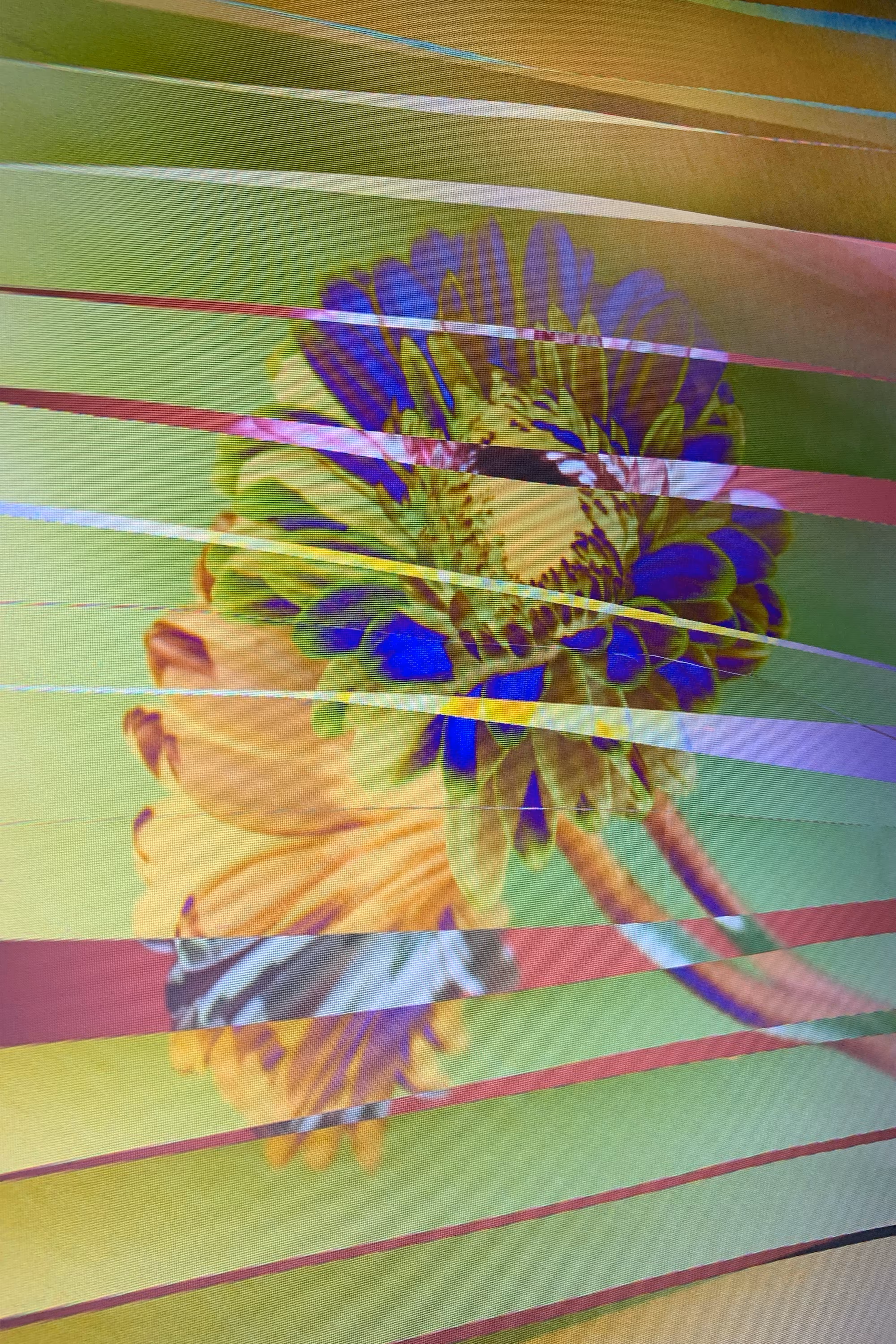 LOWREZ115