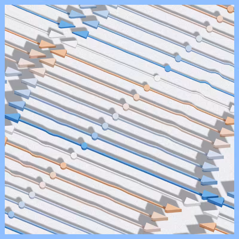 Neural Collapse #212