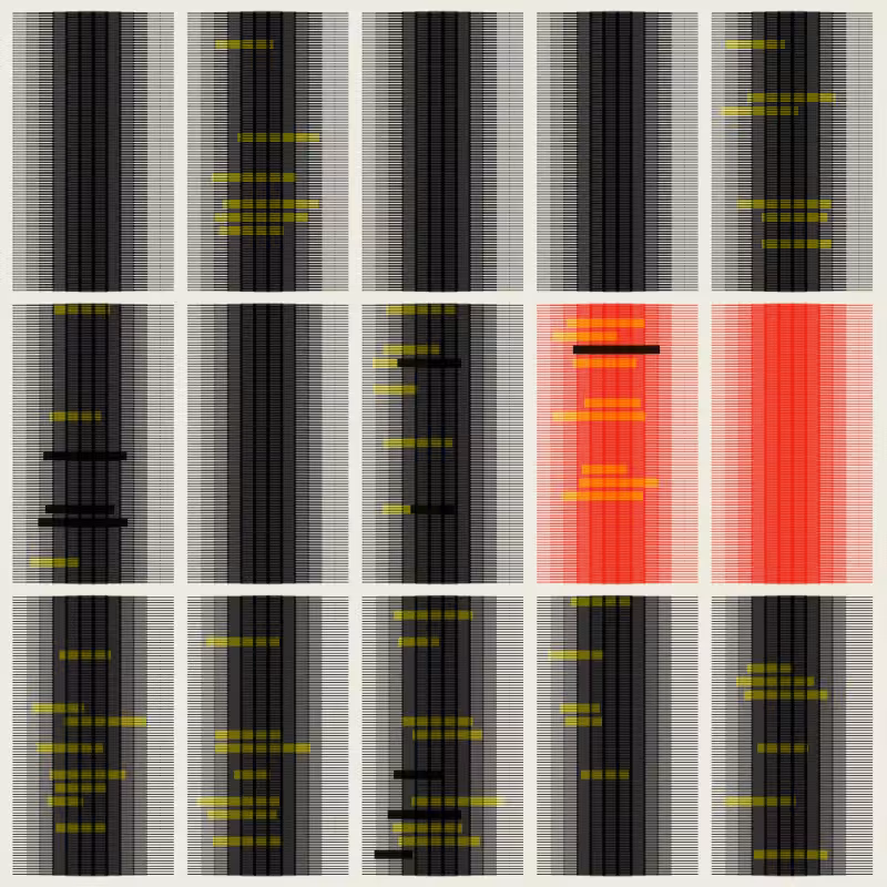Pages From A Redacted Document #19