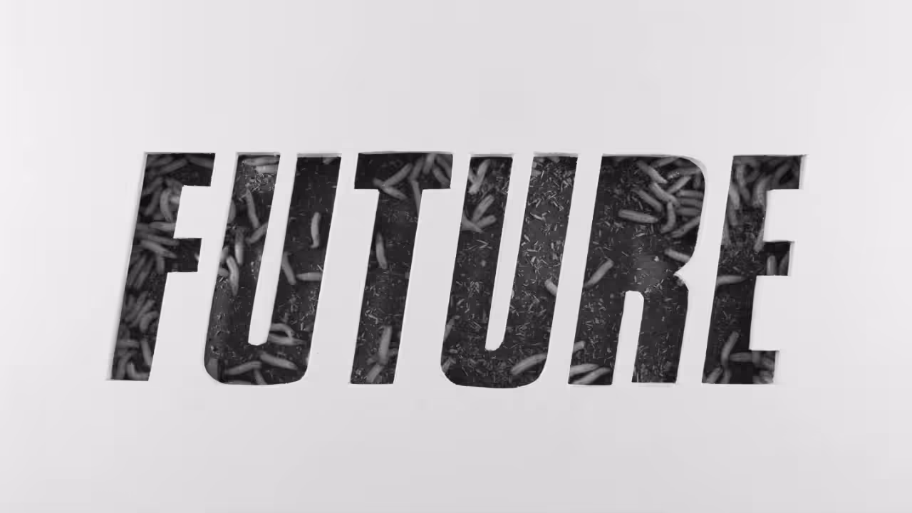 FUTURE