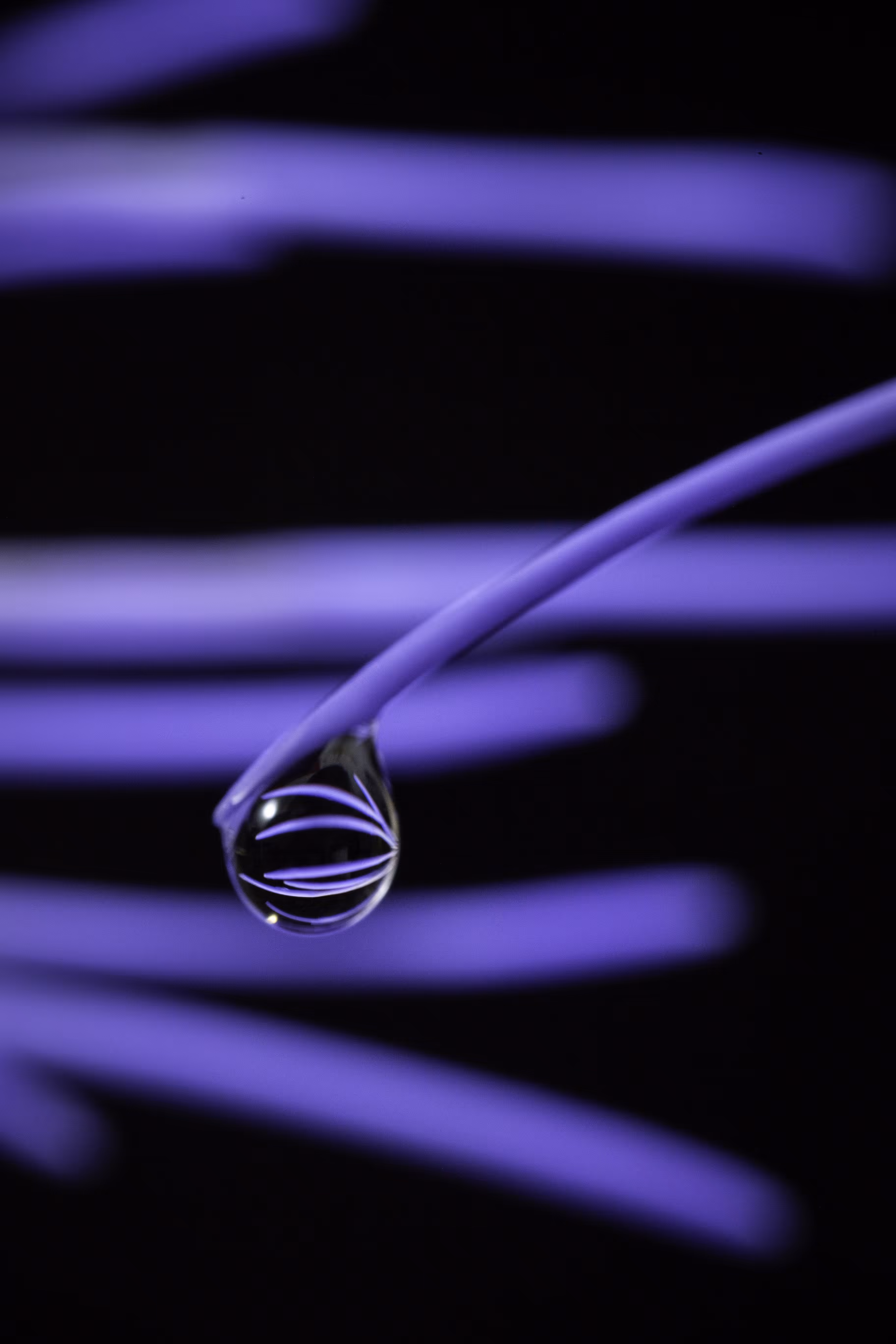 Indigo
