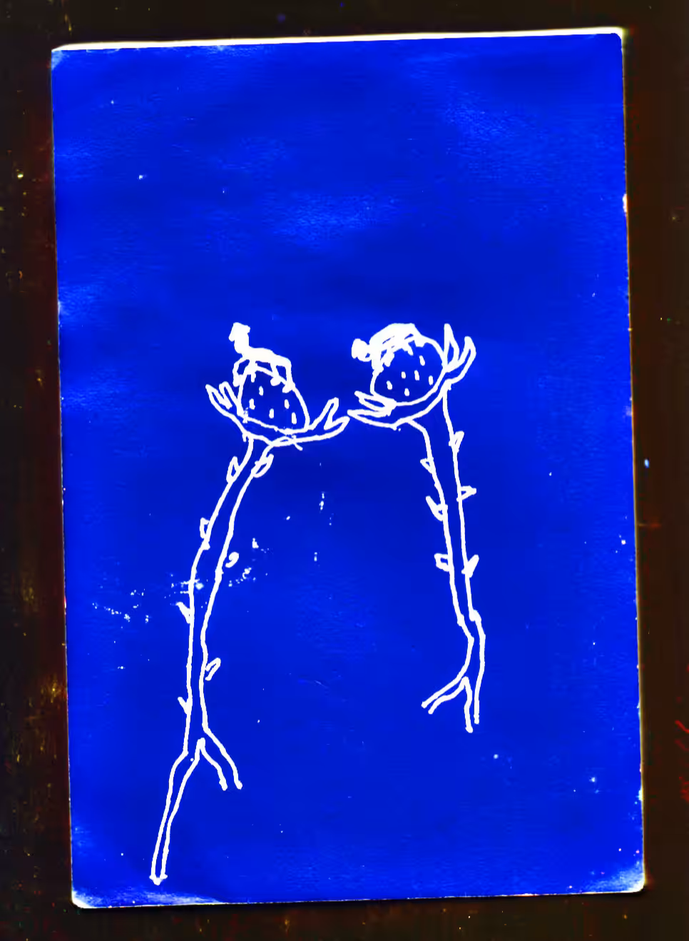 Two Flowers