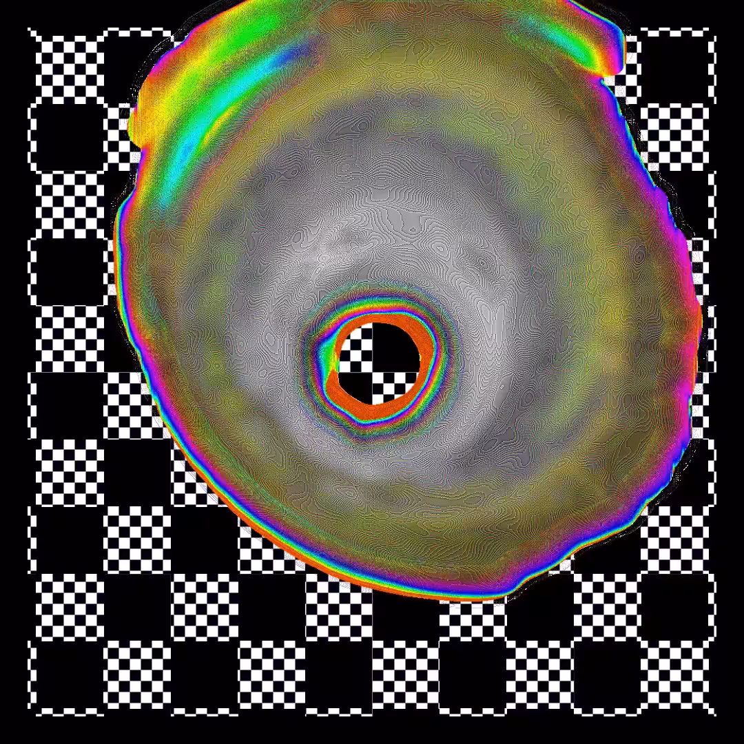 OPTICAL NERVE