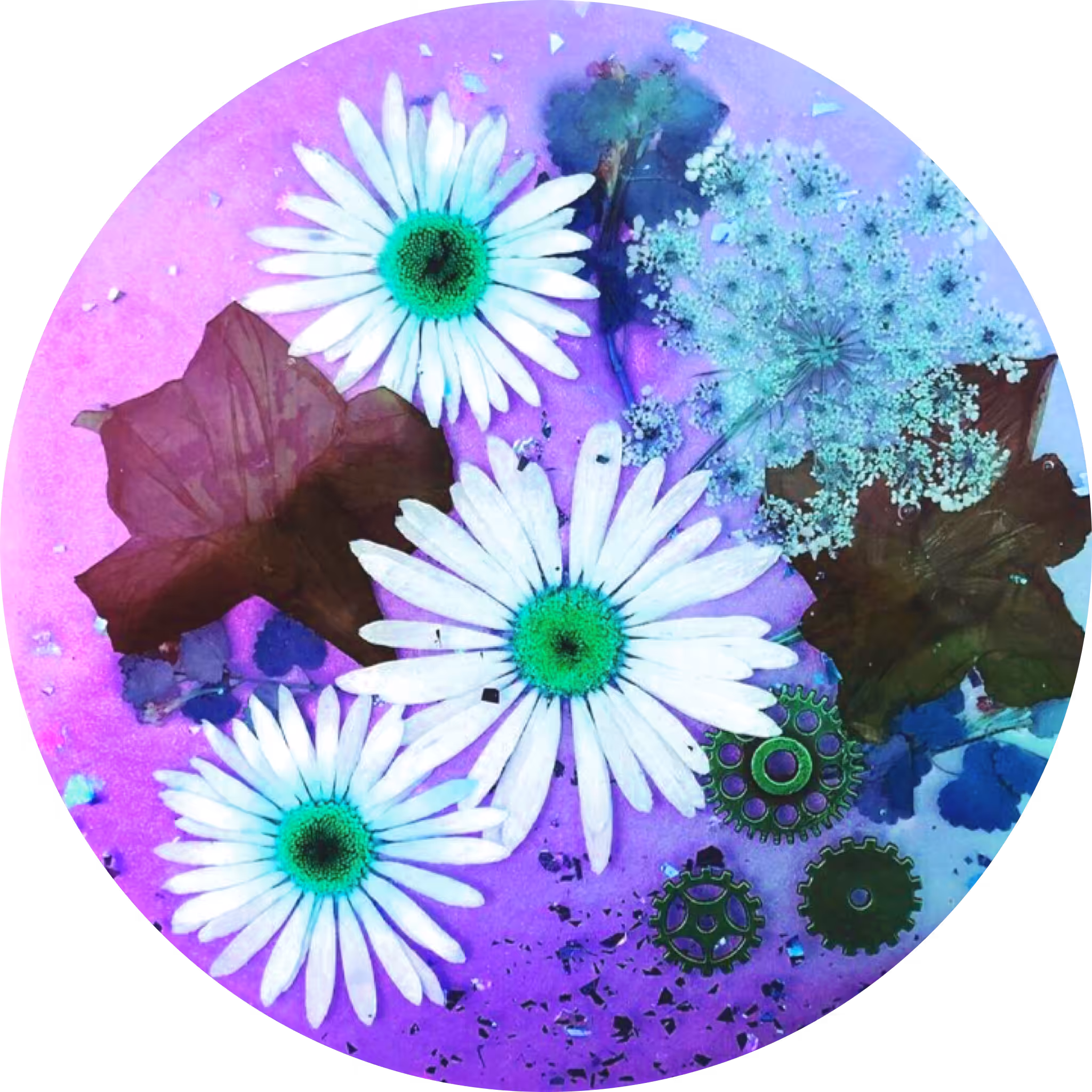 Daisy Coin 2.0