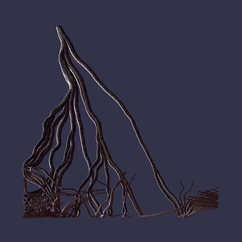 Root #109