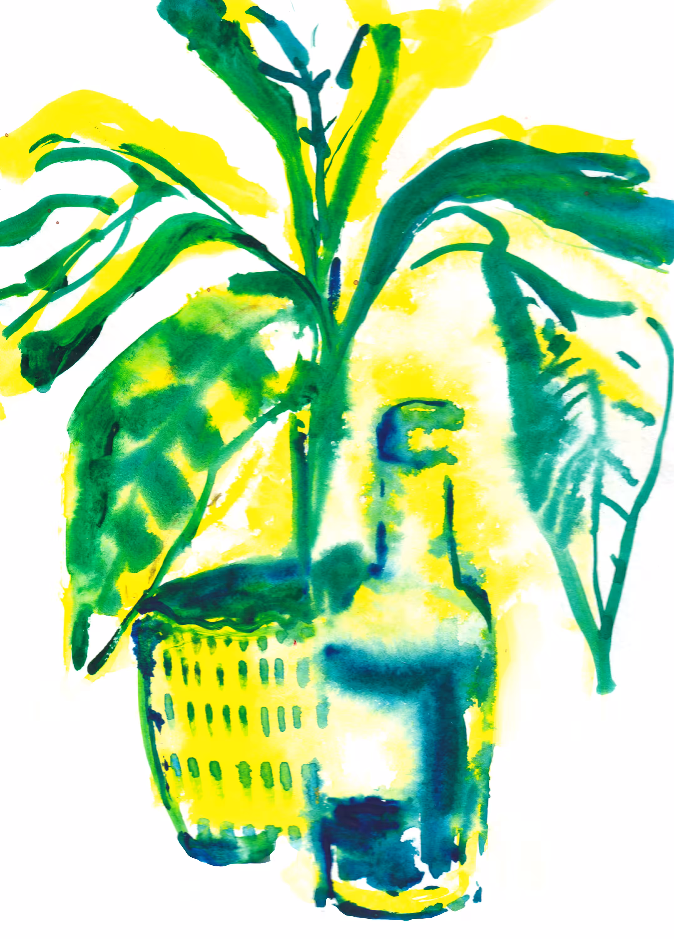 Plant and bottle.