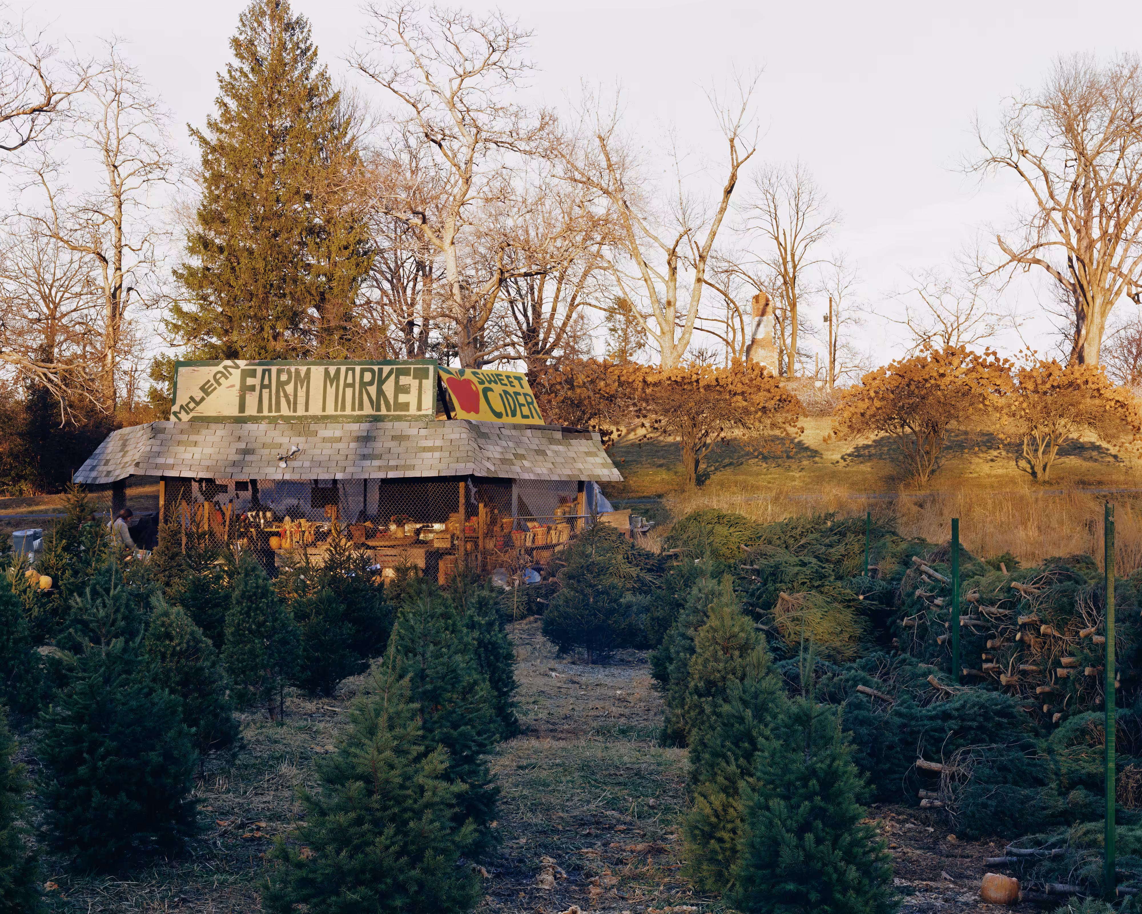 McLean, Virginia, December 6, 1979