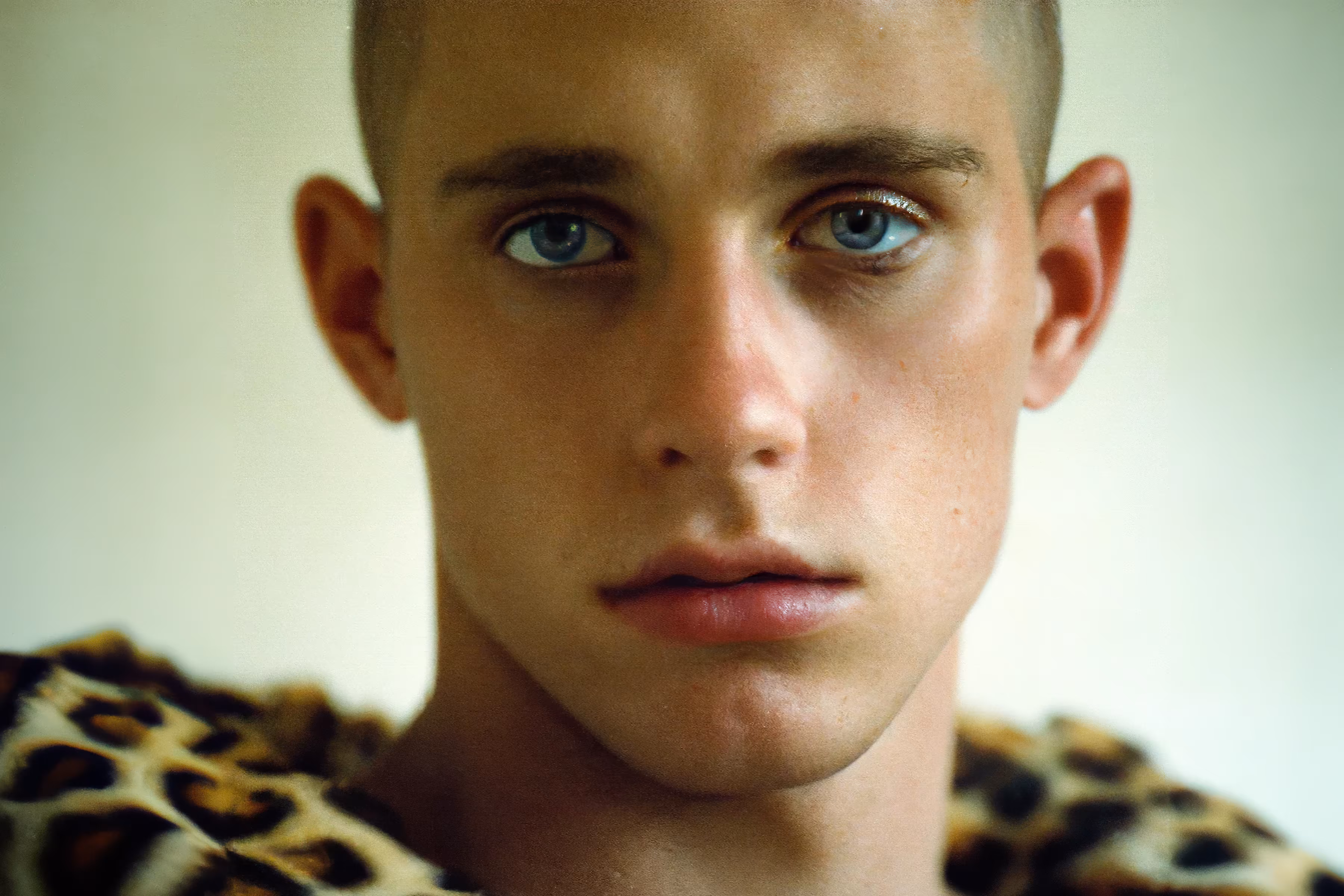 Leopard