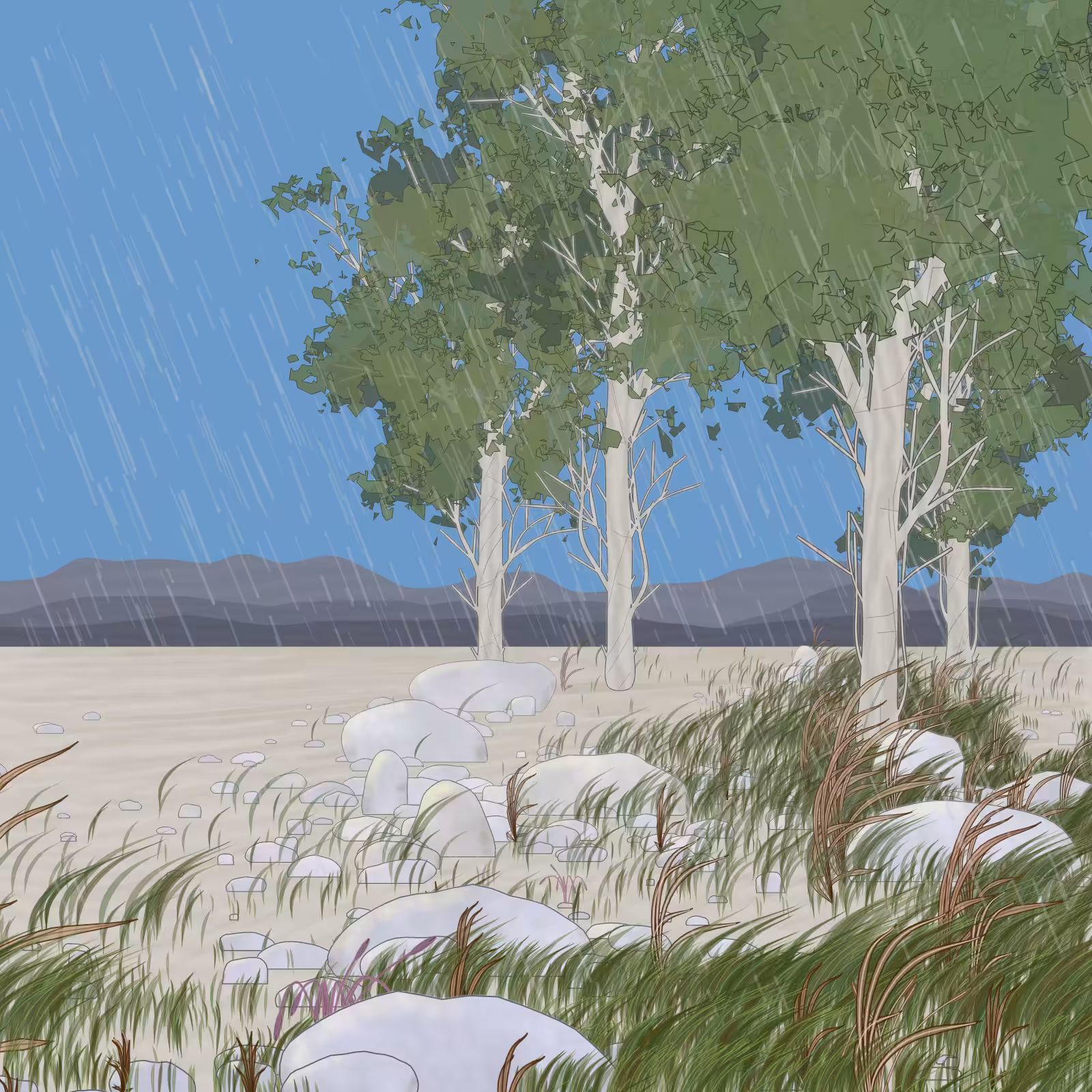 Rain Ritual #227