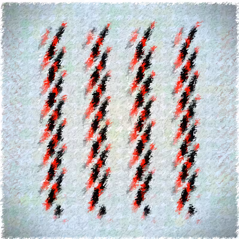 Maculas #12