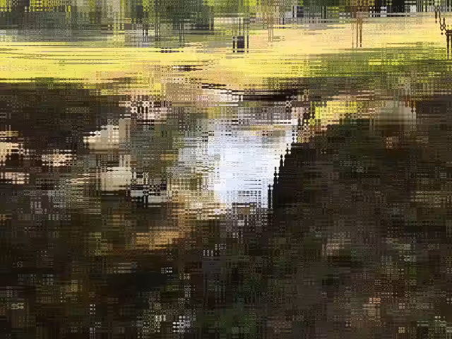 Pond